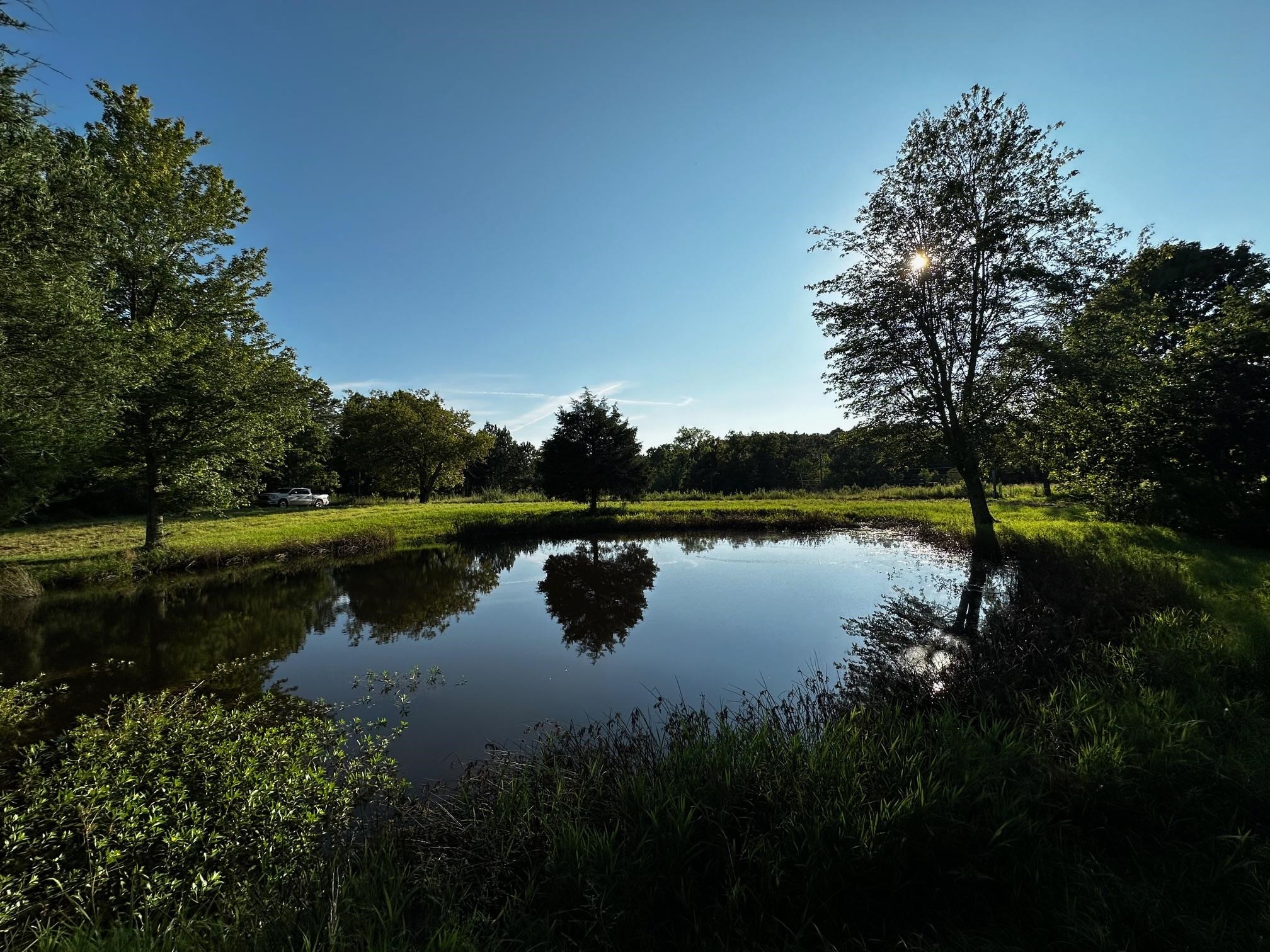 430 Bard Lane, Greenville, Kentucky 42345, ,Land,For Sale,Bard Lane,90191