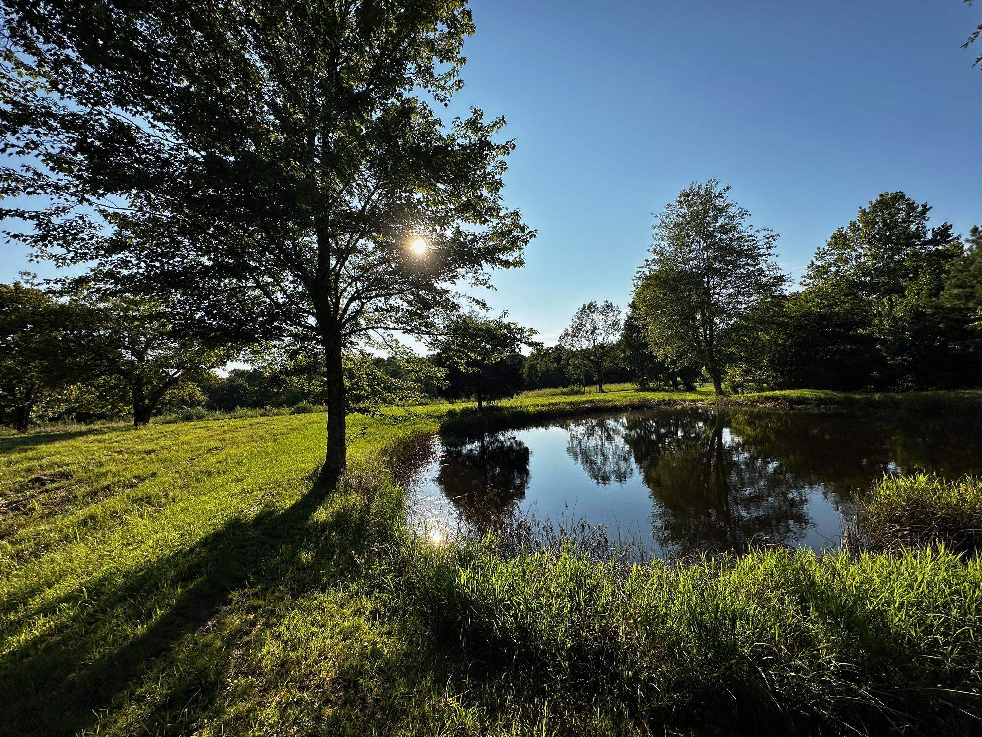 430 Bard Lane, Greenville, Kentucky 42345, ,Land,For Sale,Bard Lane,90191