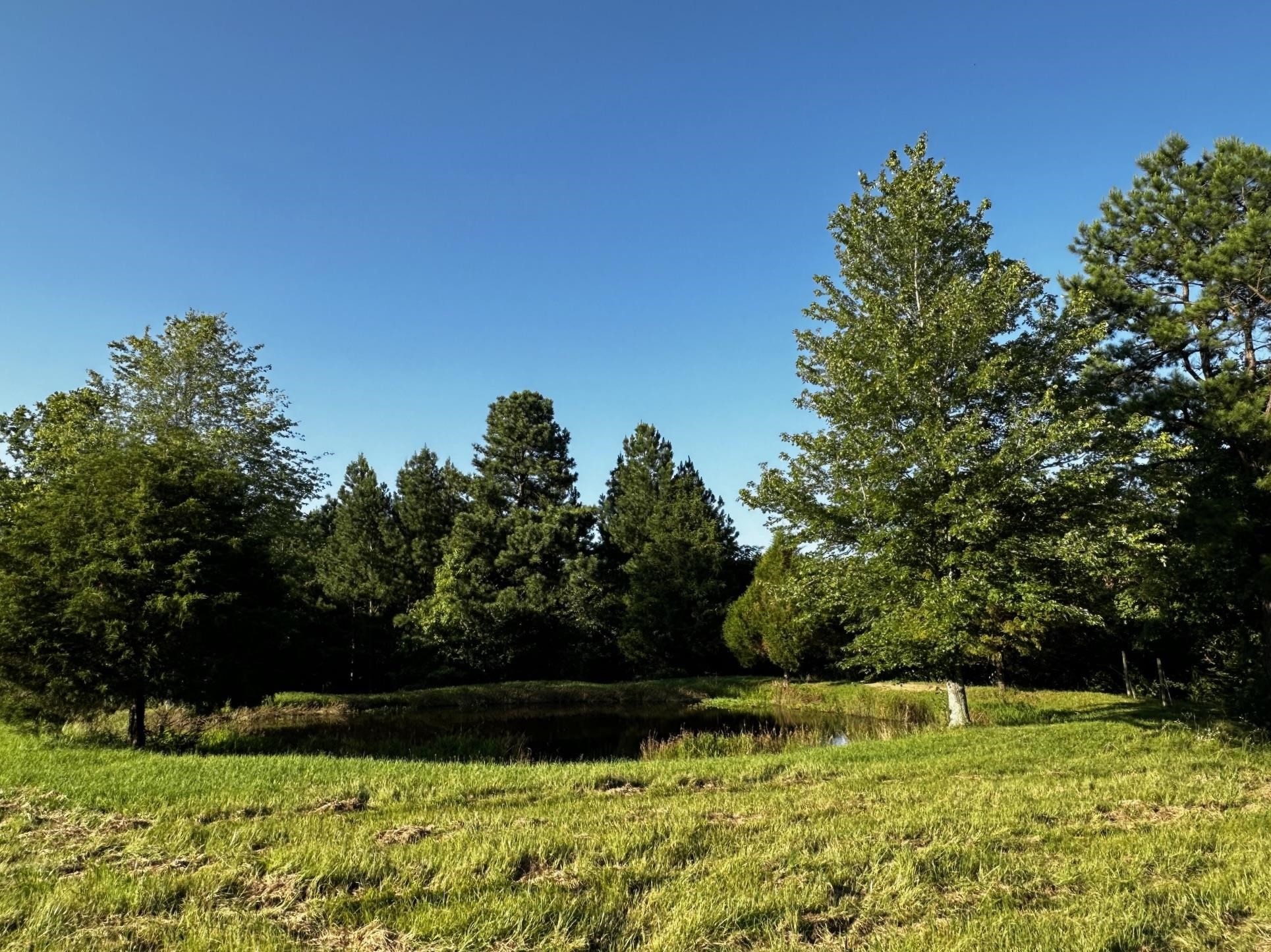 430 Bard Lane, Greenville, Kentucky 42345, ,Land,For Sale,Bard Lane,90191