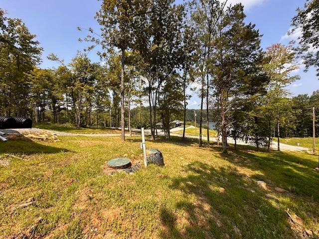 118 Stargazer Ln, Falls of Rough, Kentucky 40119, 3 Bedrooms Bedrooms, ,2 BathroomsBathrooms,Single Family Residence,For Sale,Stargazer Ln,90200
