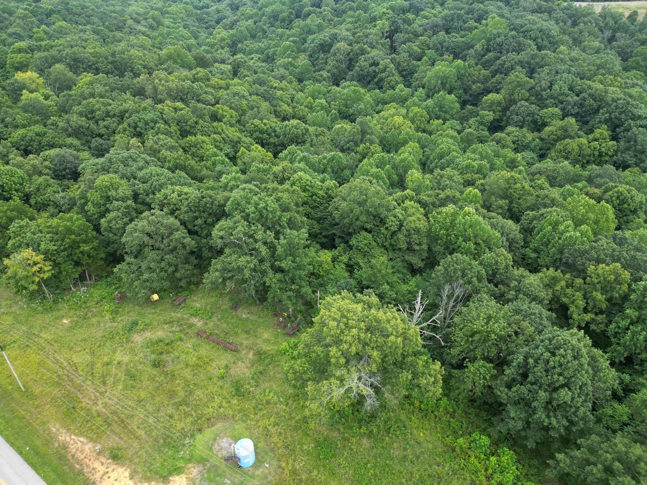 0 Highway 189, White Plains, Kentucky 42464, ,Land,For Sale,Highway 189,90205