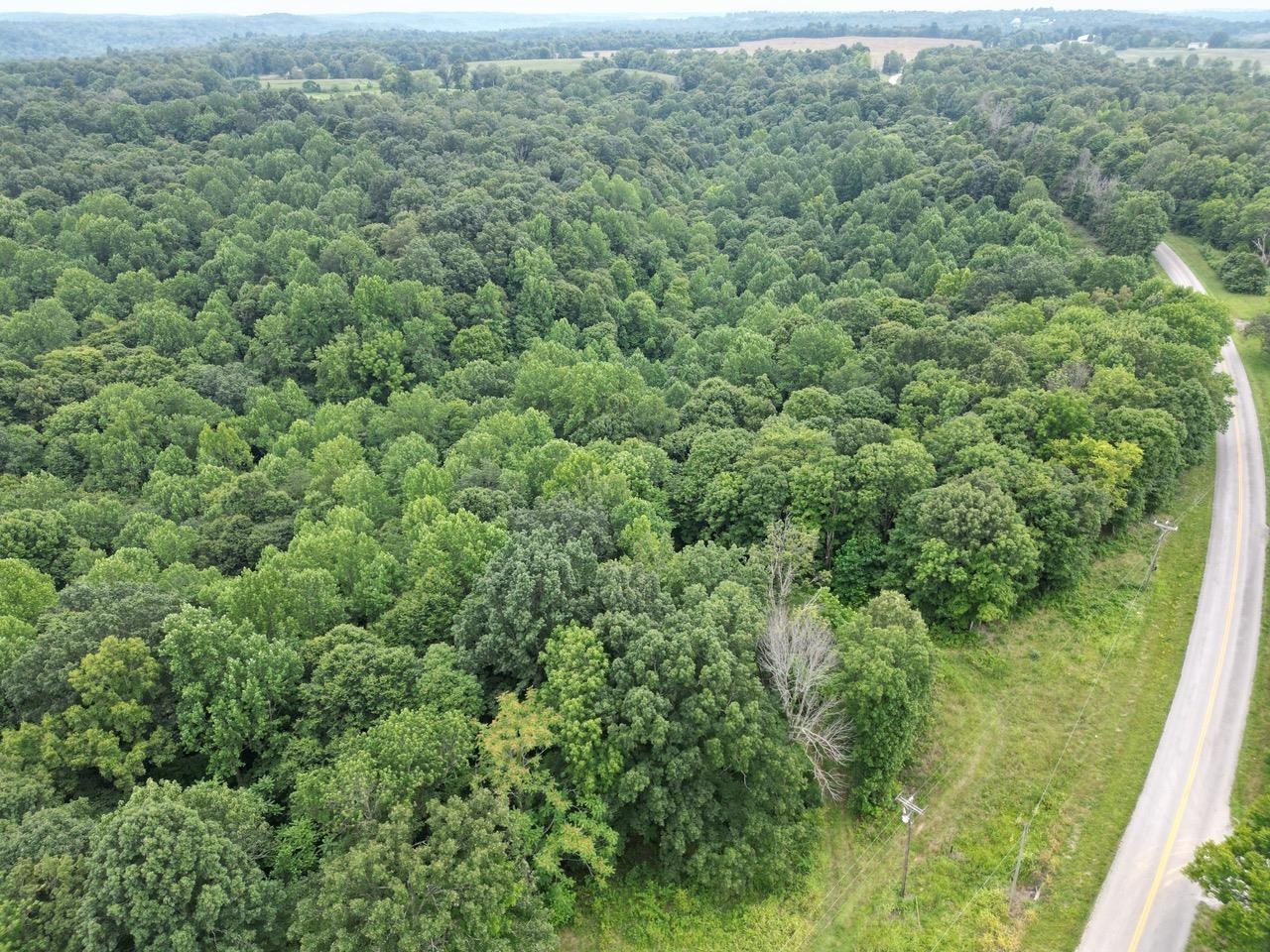 0 Highway 189, White Plains, Kentucky 42464, ,Land,For Sale,Highway 189,90205