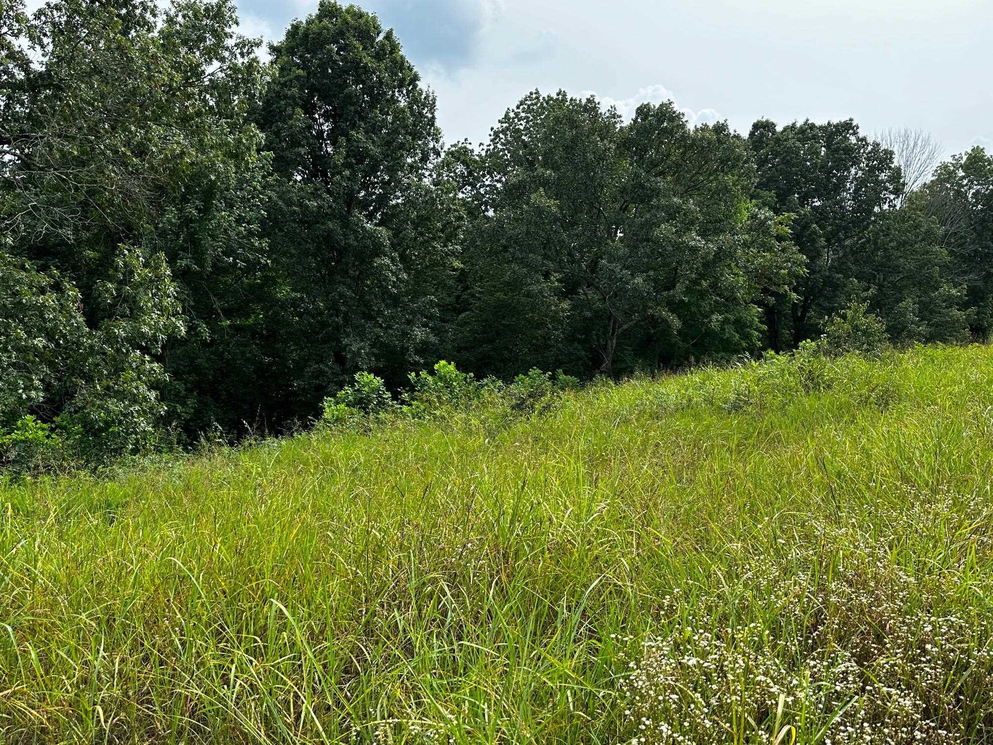 0 Highway 189, White Plains, Kentucky 42464, ,Land,For Sale,Highway 189,90205