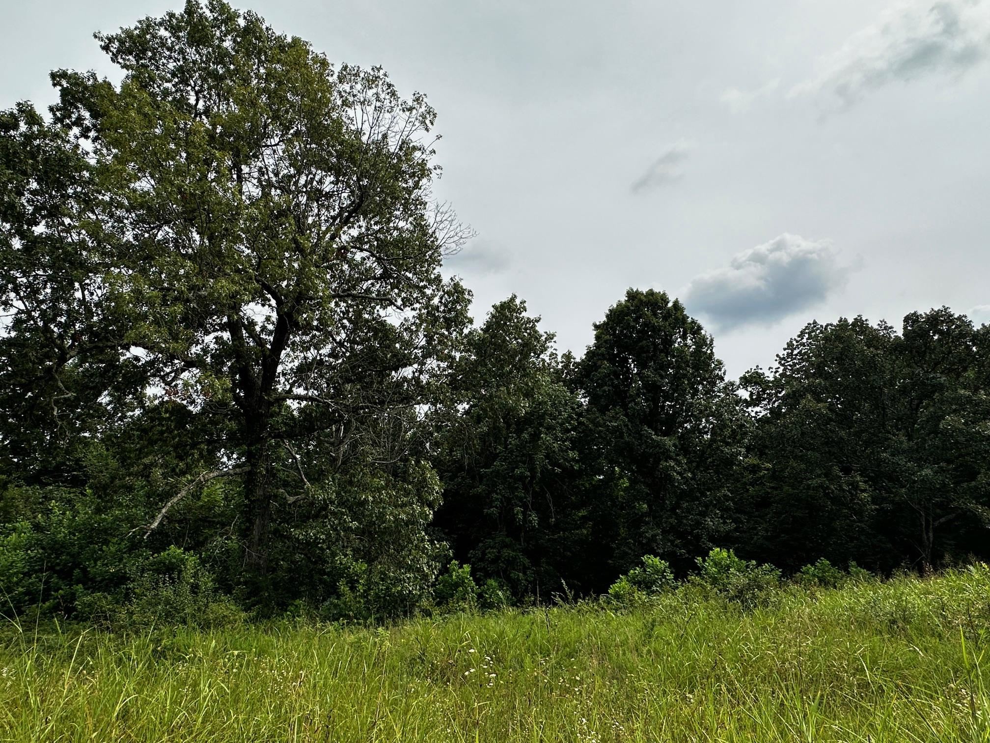 0 Highway 189, White Plains, Kentucky 42464, ,Land,For Sale,Highway 189,90205