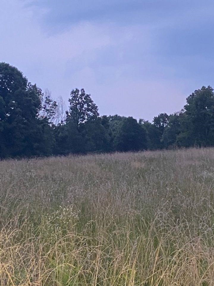 421 Magan Rd, Hartford, Kentucky 42347, ,Land,For Sale,Magan Rd,90209