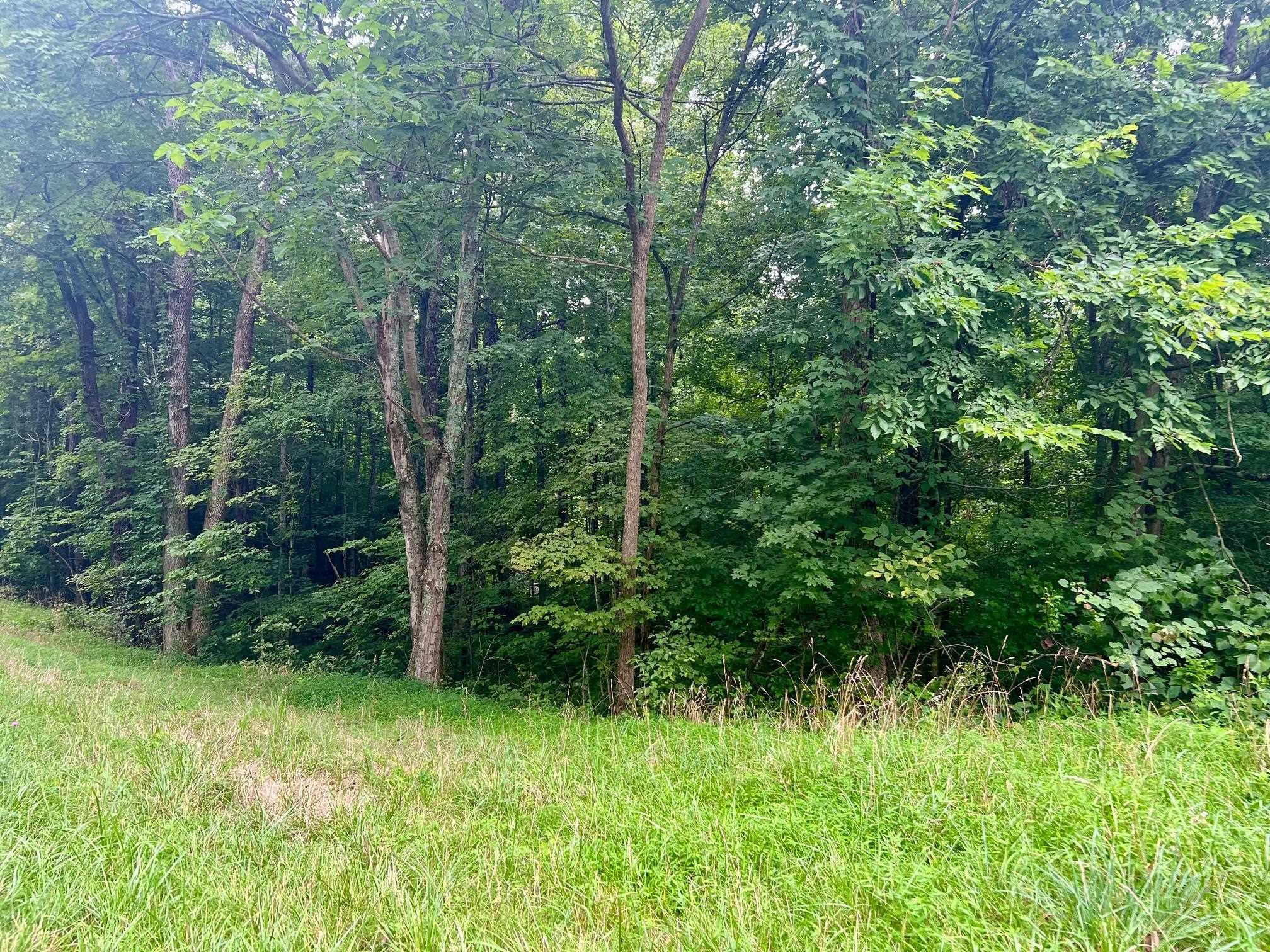 5823 State Route 1414, Hartford, Kentucky 42347, 3 Bedrooms Bedrooms, ,1 BathroomBathrooms,Single Family Residence,For Sale,State Route 1414,90226