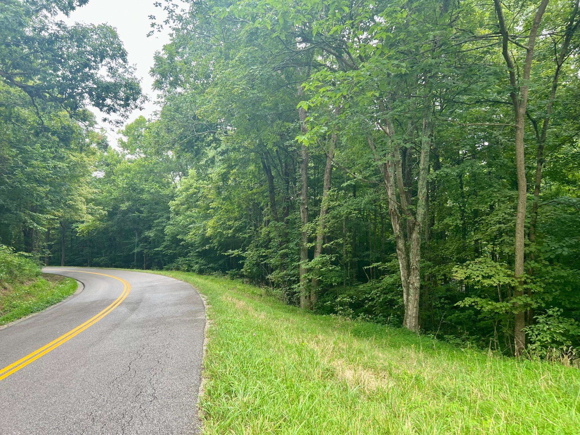 5823 State Route 1414, Hartford, Kentucky 42347, 3 Bedrooms Bedrooms, ,1 BathroomBathrooms,Single Family Residence,For Sale,State Route 1414,90226