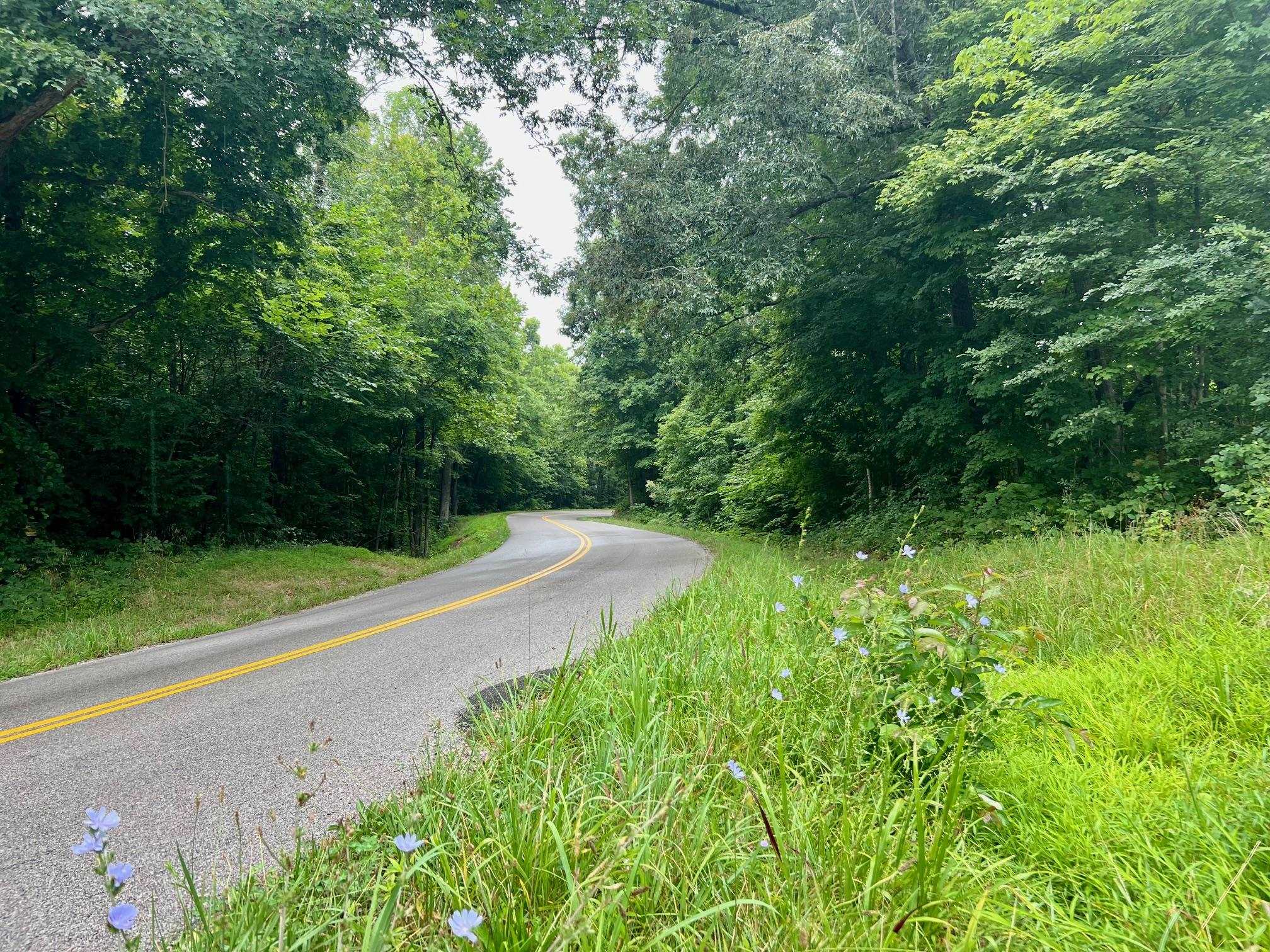 5823 State Route 1414, Hartford, Kentucky 42347, 3 Bedrooms Bedrooms, ,1 BathroomBathrooms,Single Family Residence,For Sale,State Route 1414,90226