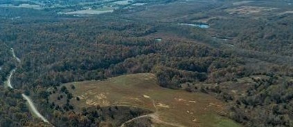 MAP 55-2 - 0000 Richland Manitou, Madisonville, Kentucky 42431, ,Land,For Sale,Richland Manitou,90237