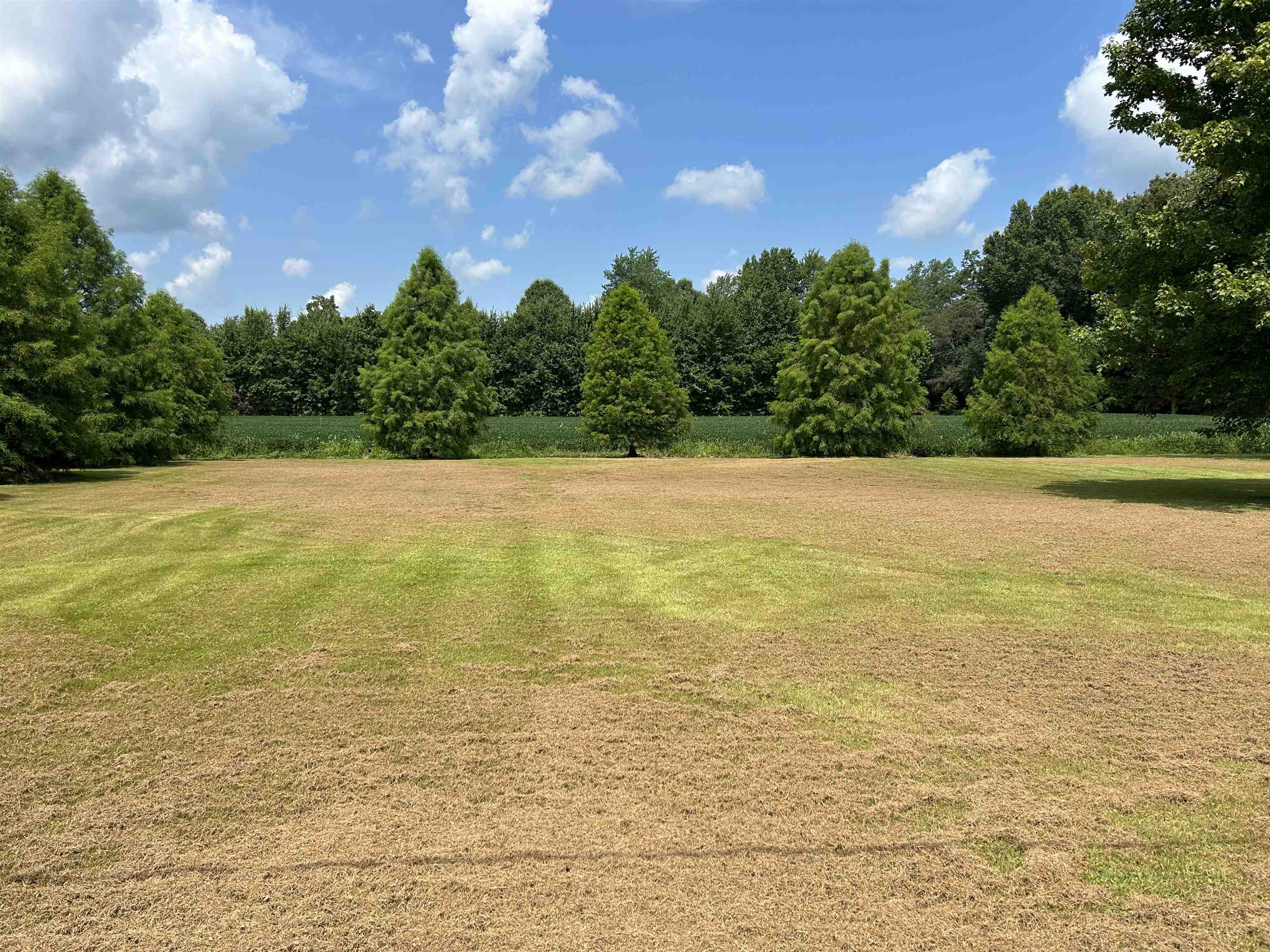 10855 State Route 951, Hawesville, Kentucky 42348, 3 Bedrooms Bedrooms, ,2 BathroomsBathrooms,Single Family Residence,For Sale,State Route 951,90293