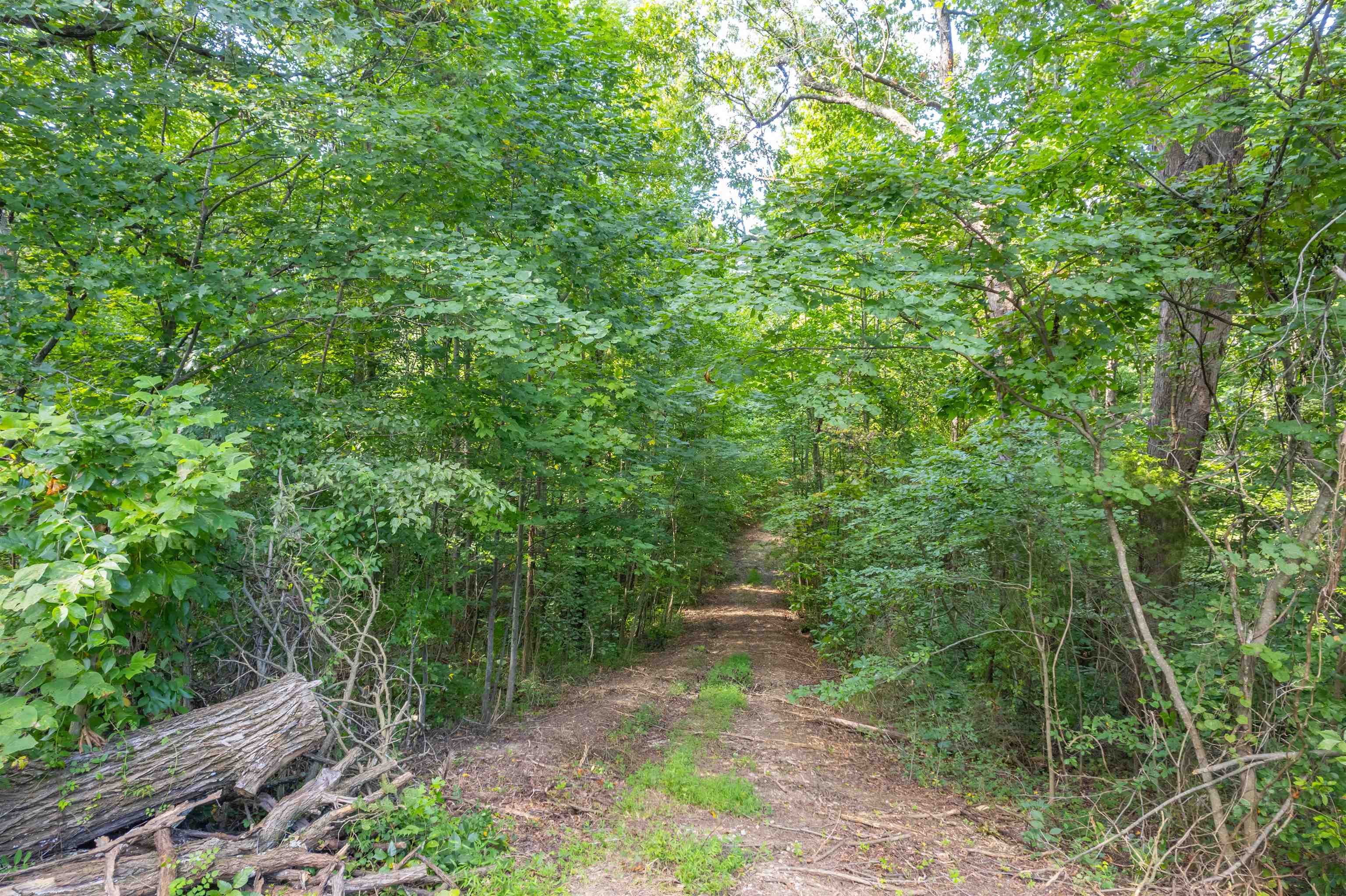 0 Joe Powers Rd, Hawesville, Kentucky 42348, ,Land,For Sale,Joe Powers Rd,90310