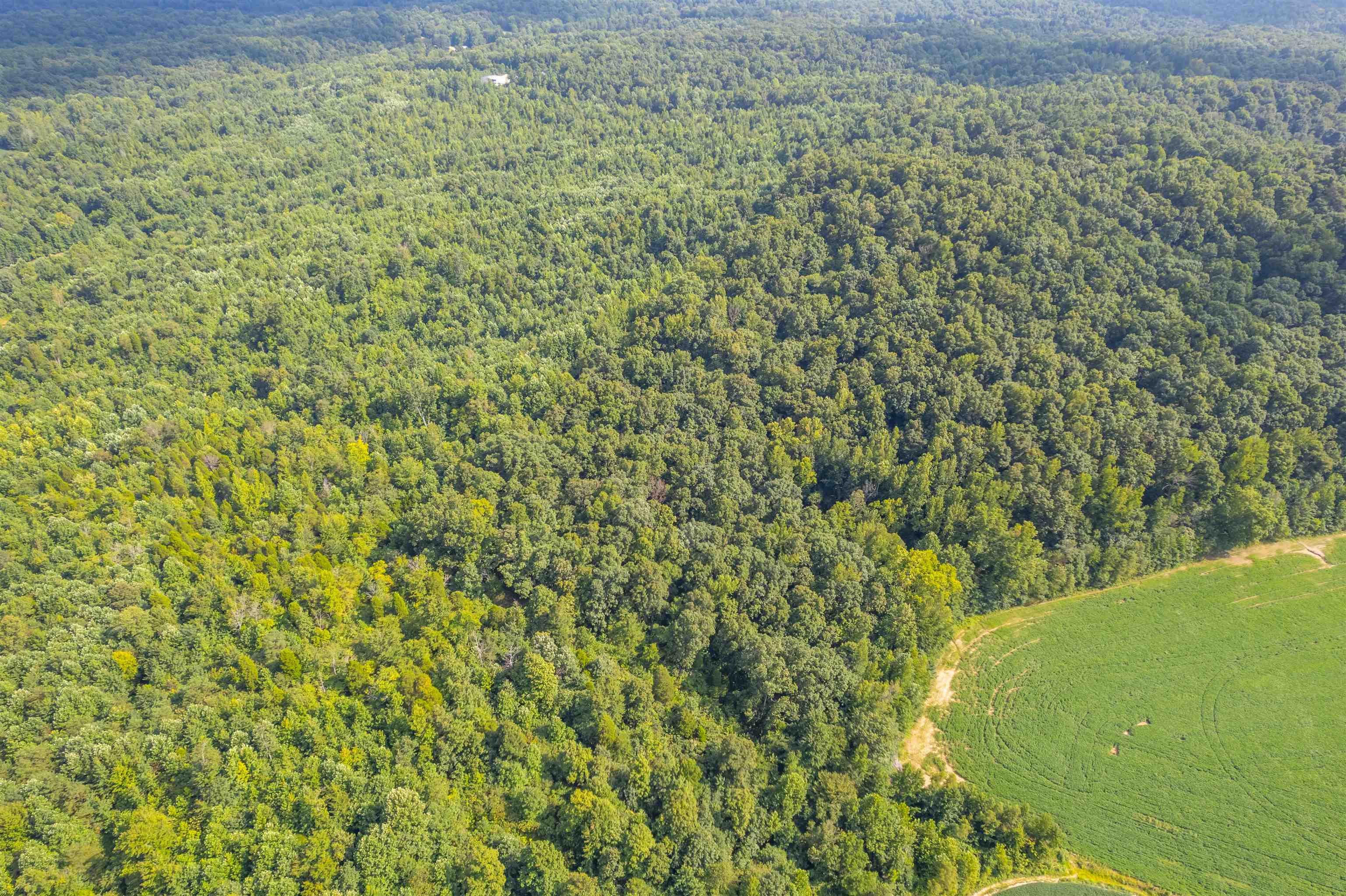 0 Joe Powers Rd, Hawesville, Kentucky 42348, ,Land,For Sale,Joe Powers Rd,90310