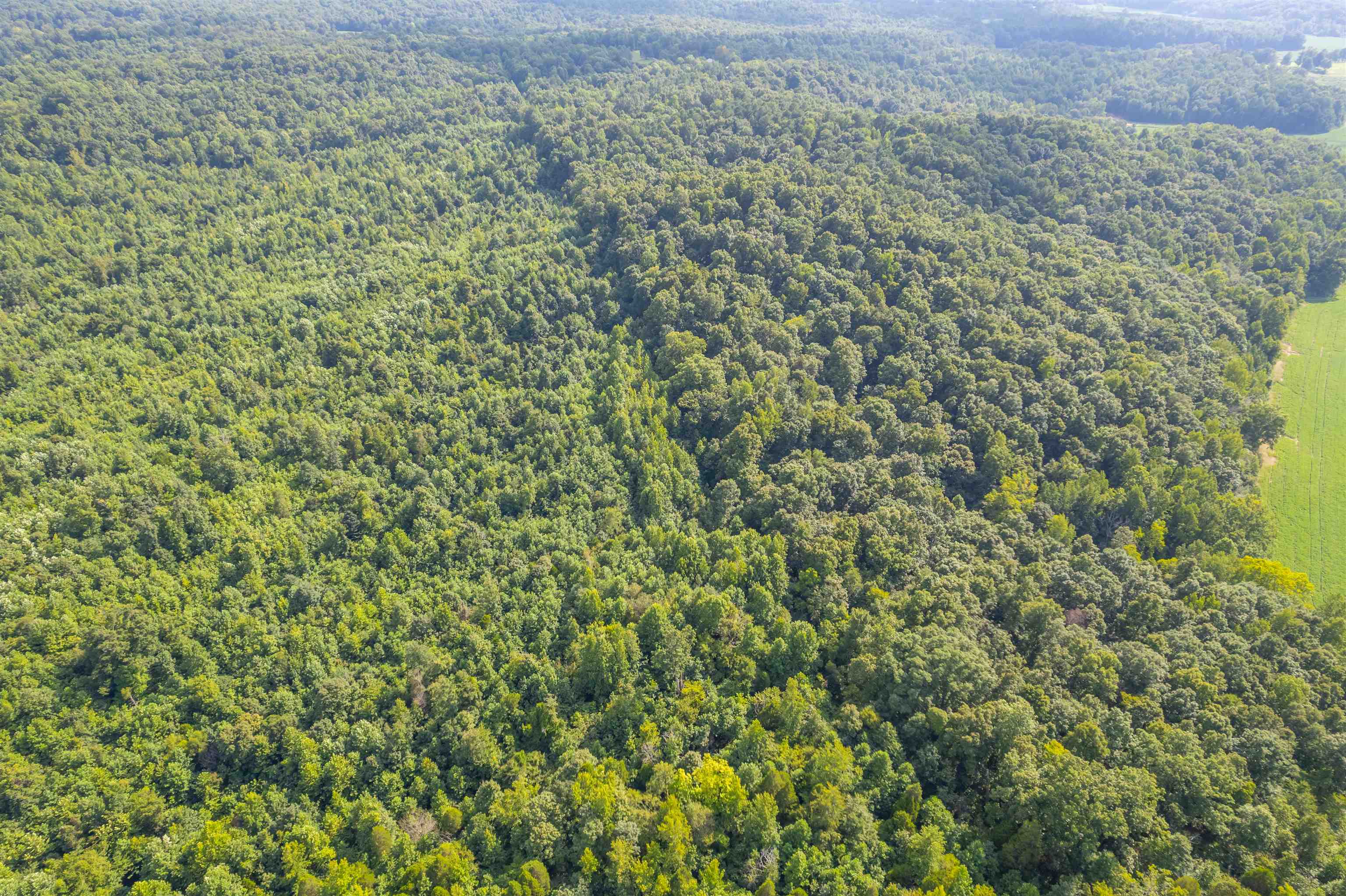 0 Joe Powers Rd, Hawesville, Kentucky 42348, ,Land,For Sale,Joe Powers Rd,90310