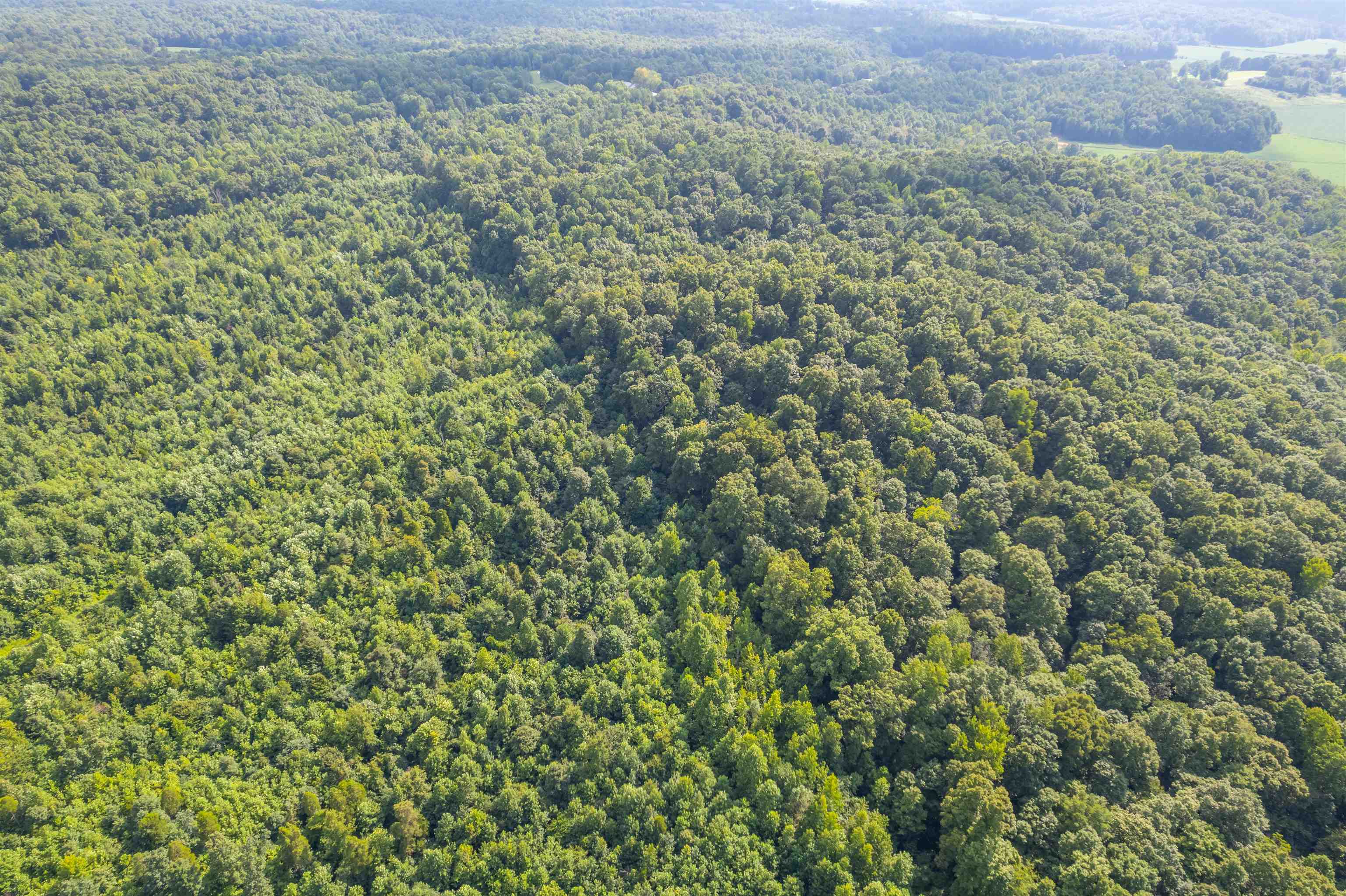0 Joe Powers Rd, Hawesville, Kentucky 42348, ,Land,For Sale,Joe Powers Rd,90310