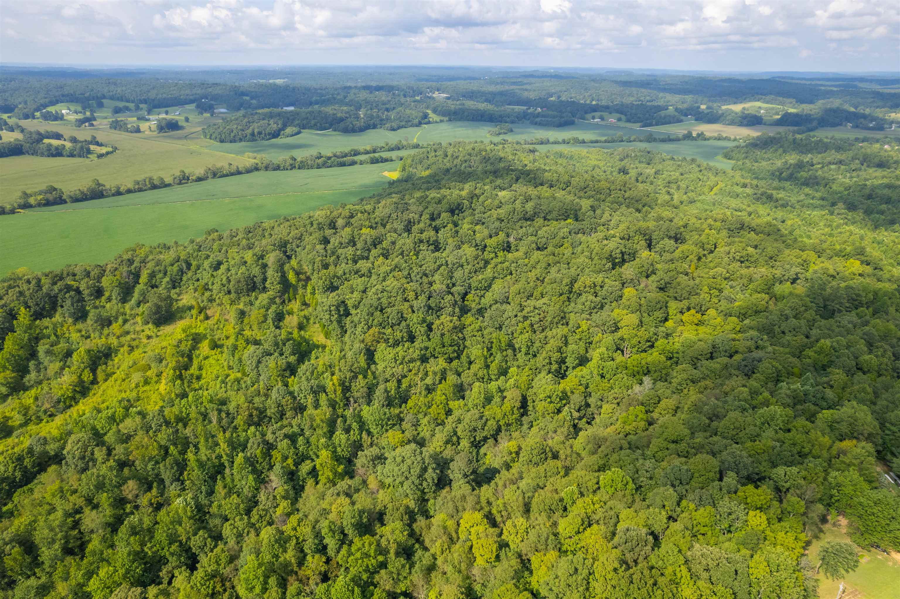 0 Joe Powers Rd, Hawesville, Kentucky 42348, ,Land,For Sale,Joe Powers Rd,90310