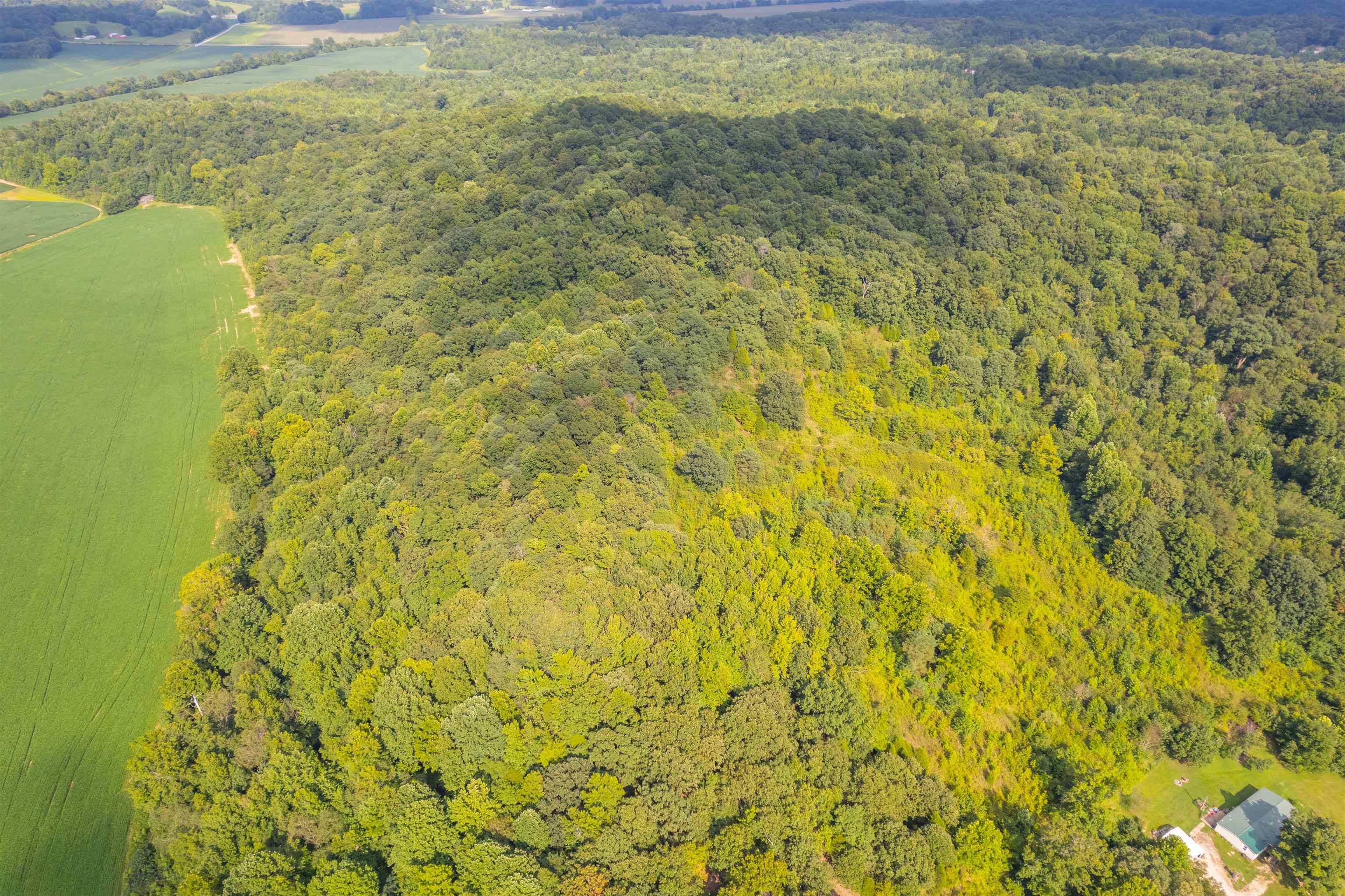 0 Joe Powers Rd, Hawesville, Kentucky 42348, ,Land,For Sale,Joe Powers Rd,90310