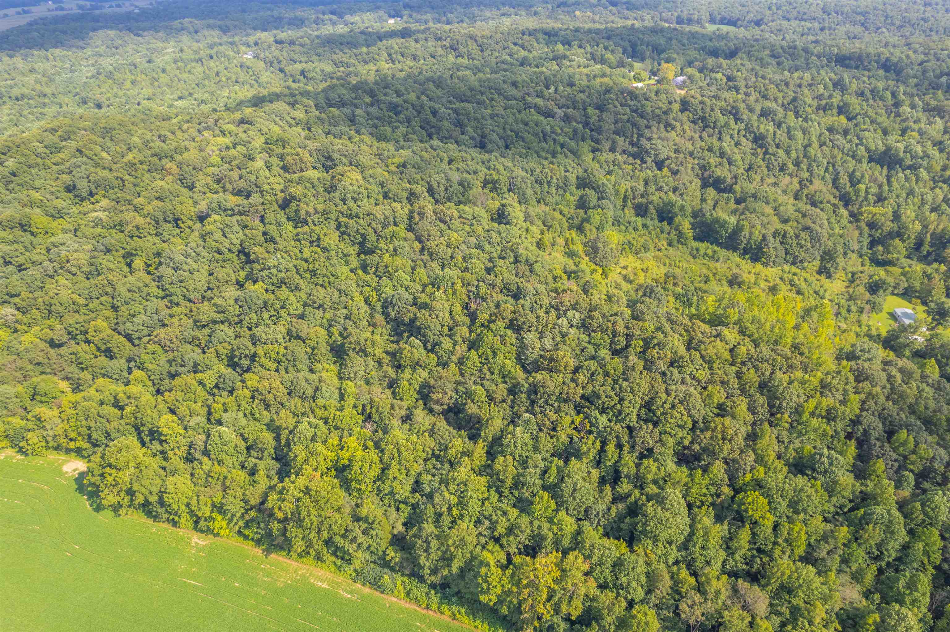 0 Joe Powers Rd, Hawesville, Kentucky 42348, ,Land,For Sale,Joe Powers Rd,90310