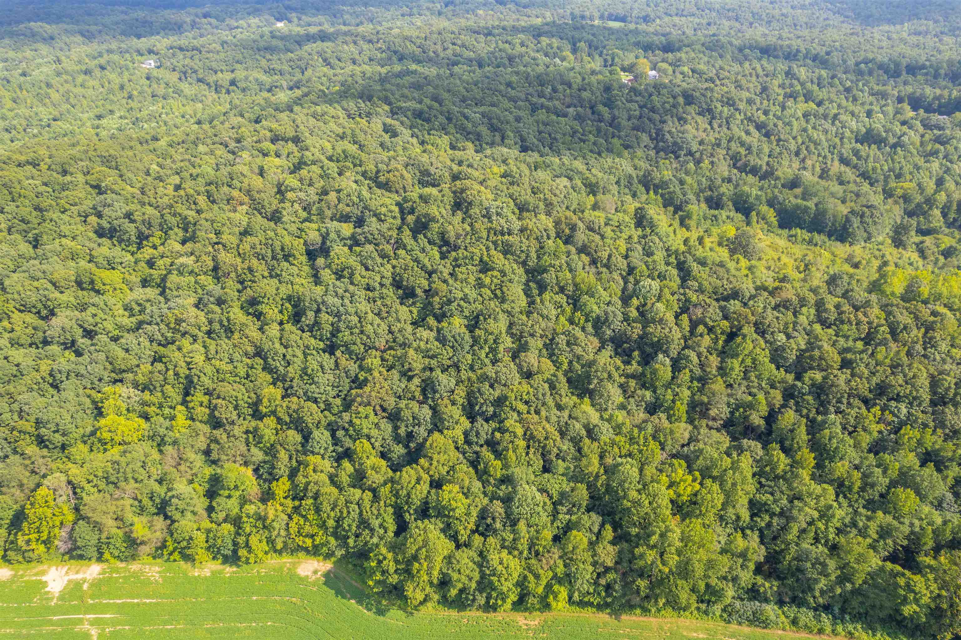 0 Joe Powers Rd, Hawesville, Kentucky 42348, ,Land,For Sale,Joe Powers Rd,90310