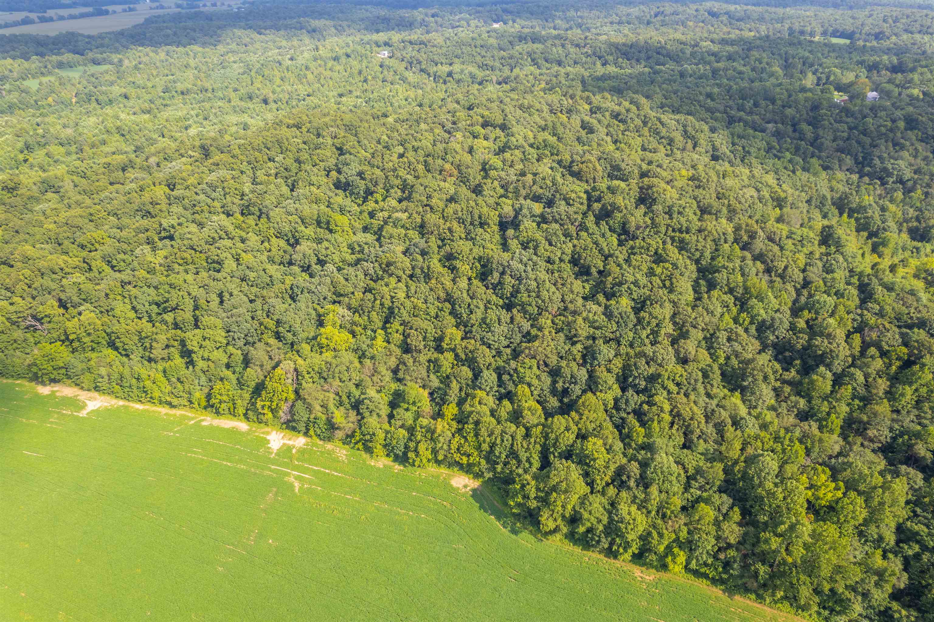 0 Joe Powers Rd, Hawesville, Kentucky 42348, ,Land,For Sale,Joe Powers Rd,90310