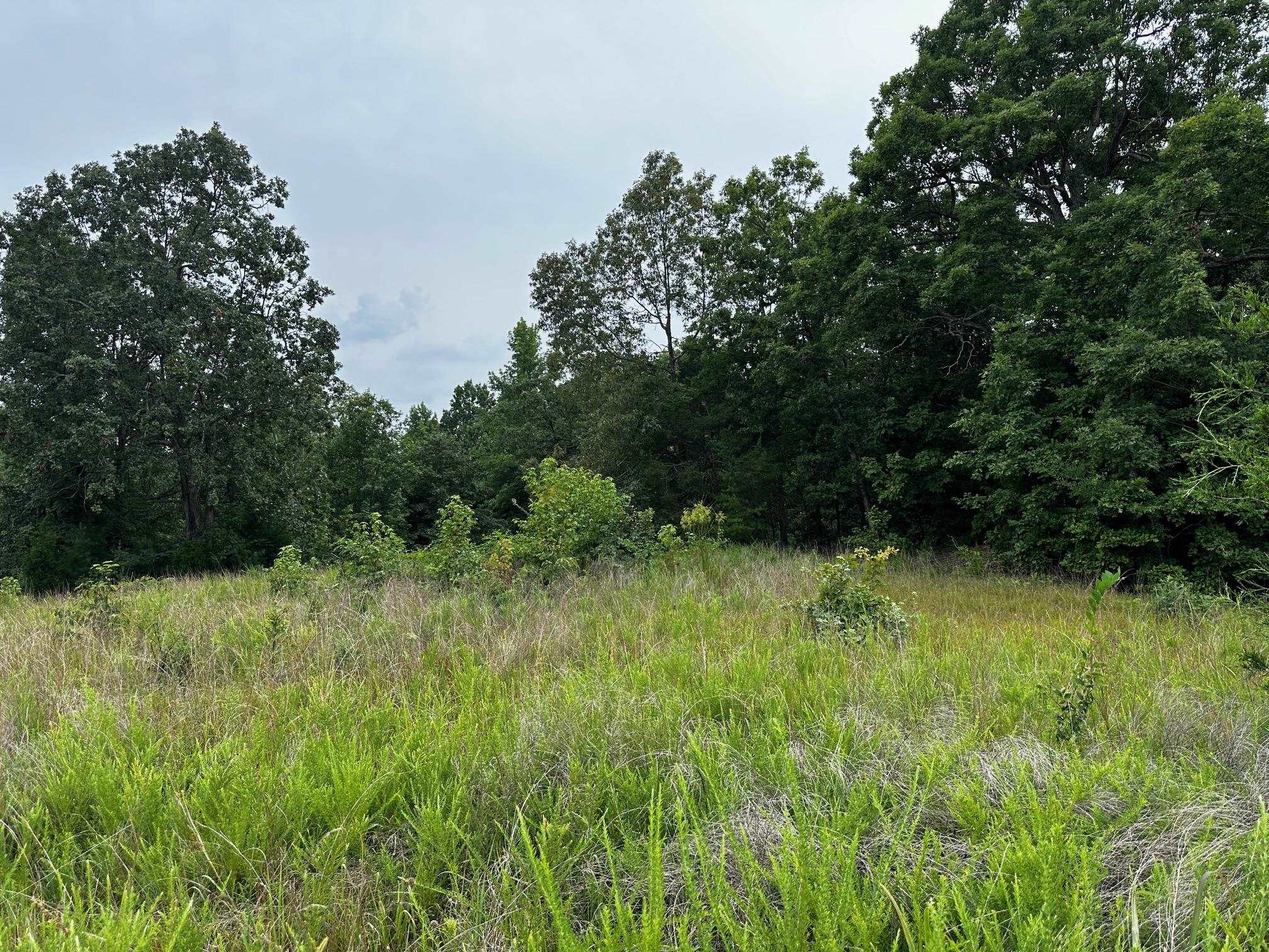 0 Coal Creek Road, Hopkinsville, Kentucky 42240, ,Land,For Sale,Coal Creek Road,90339