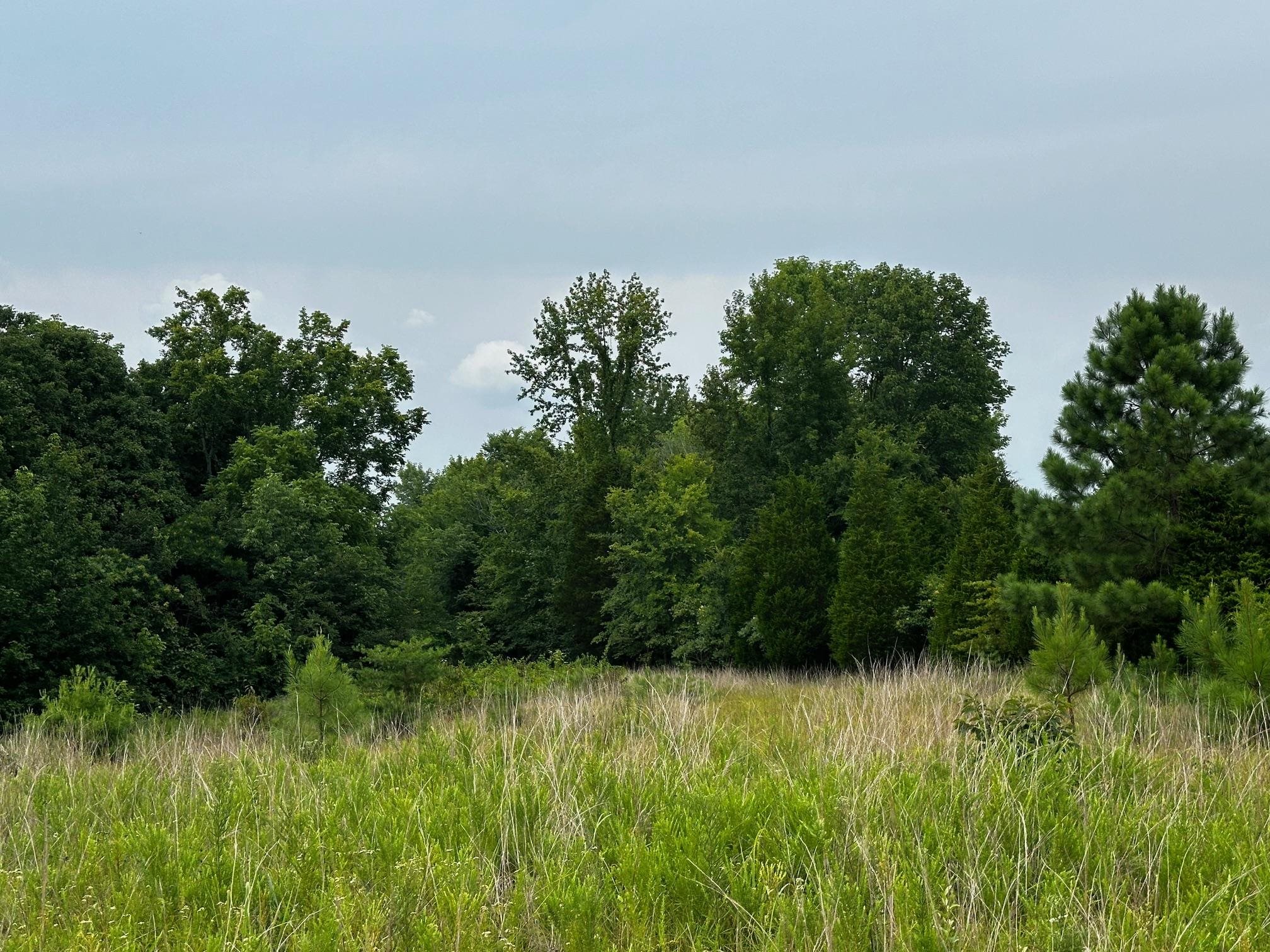 0 Coal Creek Road, Hopkinsville, Kentucky 42240, ,Land,For Sale,Coal Creek Road,90339