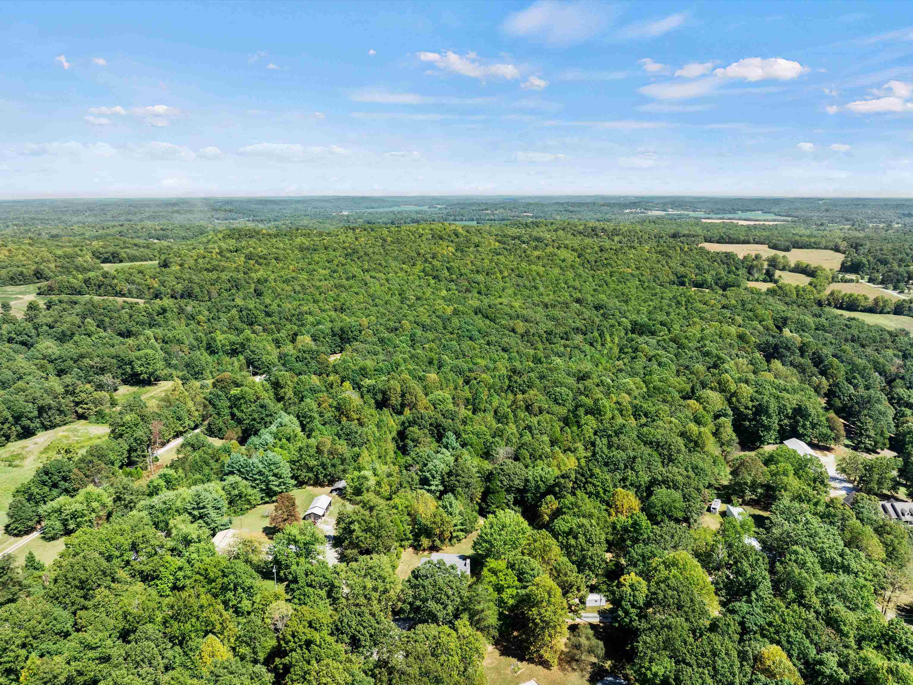 258 Bear Run Lane, Hartford, Kentucky 42347, 4 Bedrooms Bedrooms, ,2 BathroomsBathrooms,Single Family Residence,For Sale,Bear Run Lane,90348