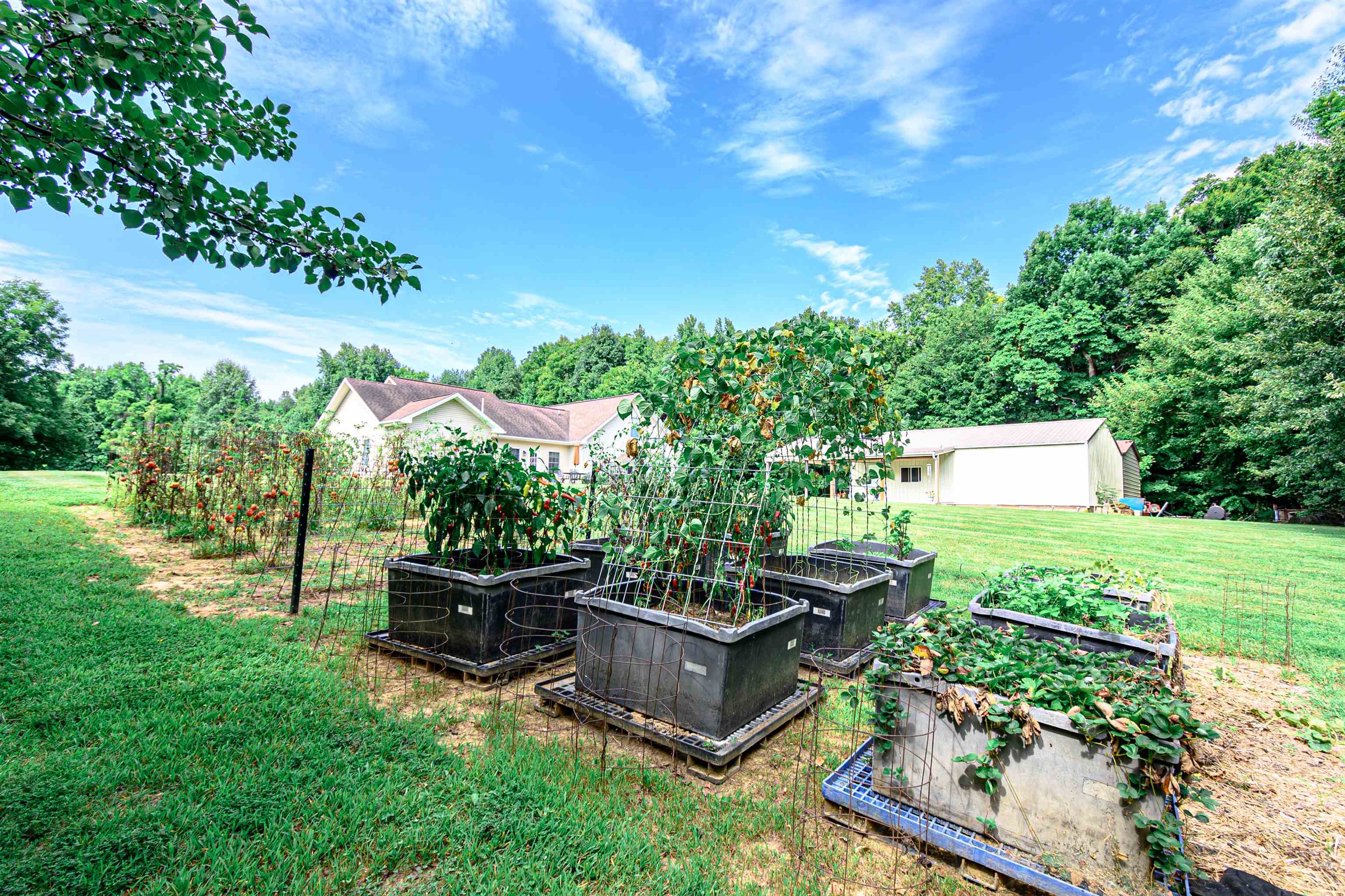 6471 Hwy 144, Owensboro, Kentucky 42303, 3 Bedrooms Bedrooms, ,3 BathroomsBathrooms,Single Family Residence,For Sale,Hwy 144,90368