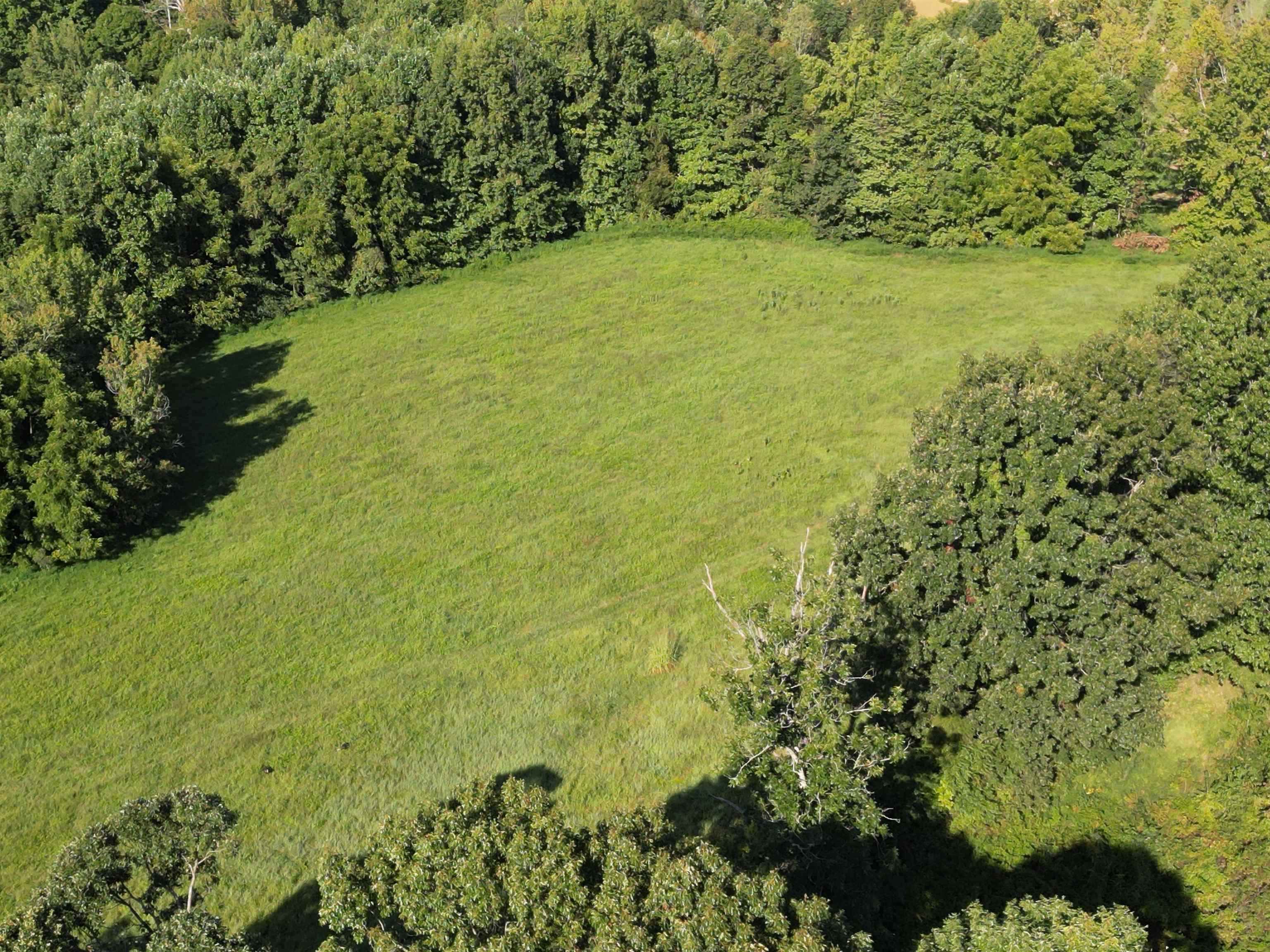 0 State Route 69 Parcel ID 41-15, Reynolds Station, Kentucky 42368, ,Land,For Sale,State Route 69 Parcel ID 41-15,90388