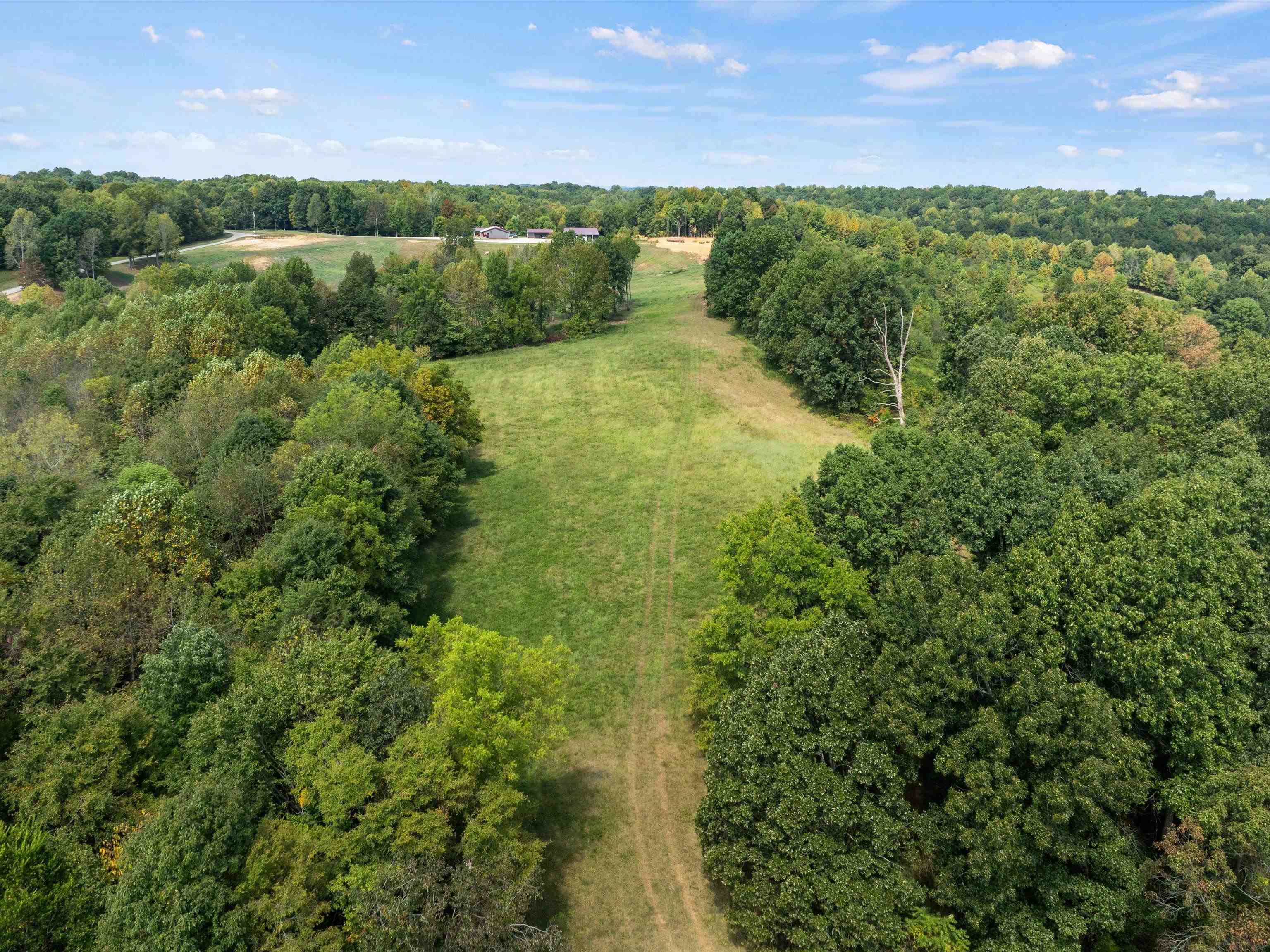 0 State Route 69 Parcel ID 41-15, Reynolds Station, Kentucky 42368, ,Land,For Sale,State Route 69 Parcel ID 41-15,90388