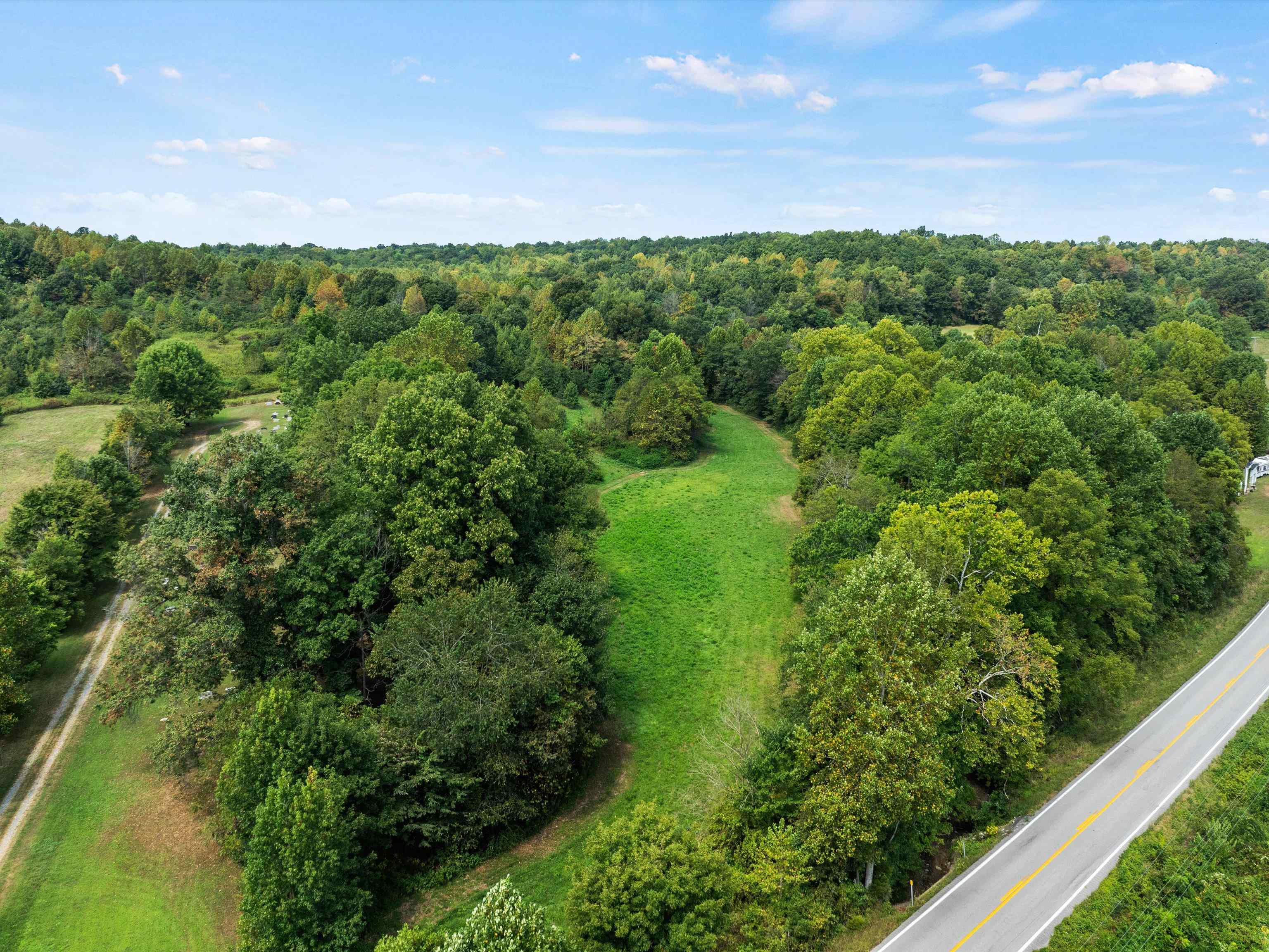0 State Route 69 Parcel ID 41-15, Reynolds Station, Kentucky 42368, ,Land,For Sale,State Route 69 Parcel ID 41-15,90388