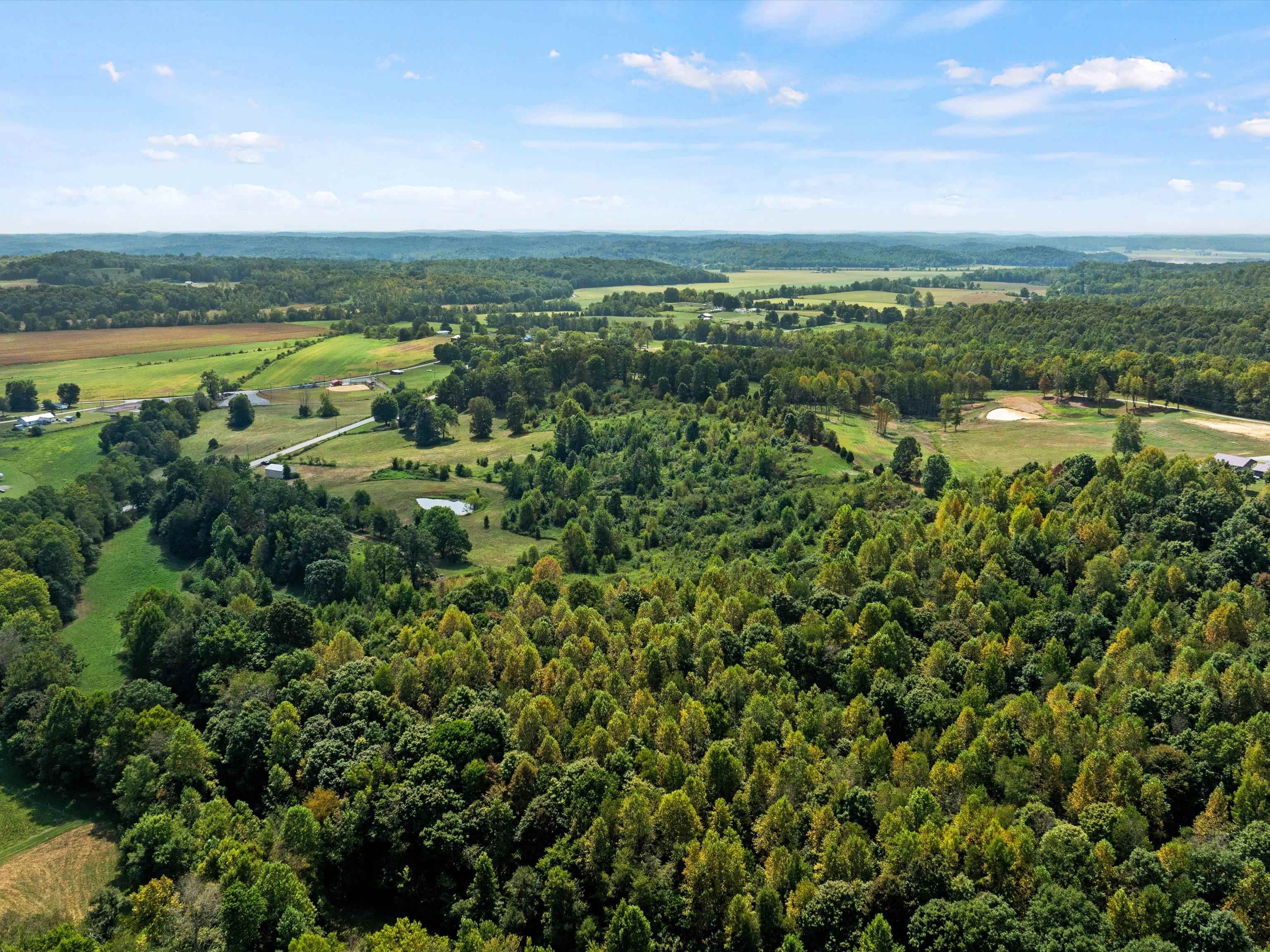 0 State Route 69 Parcel ID 41-15, Reynolds Station, Kentucky 42368, ,Land,For Sale,State Route 69 Parcel ID 41-15,90388