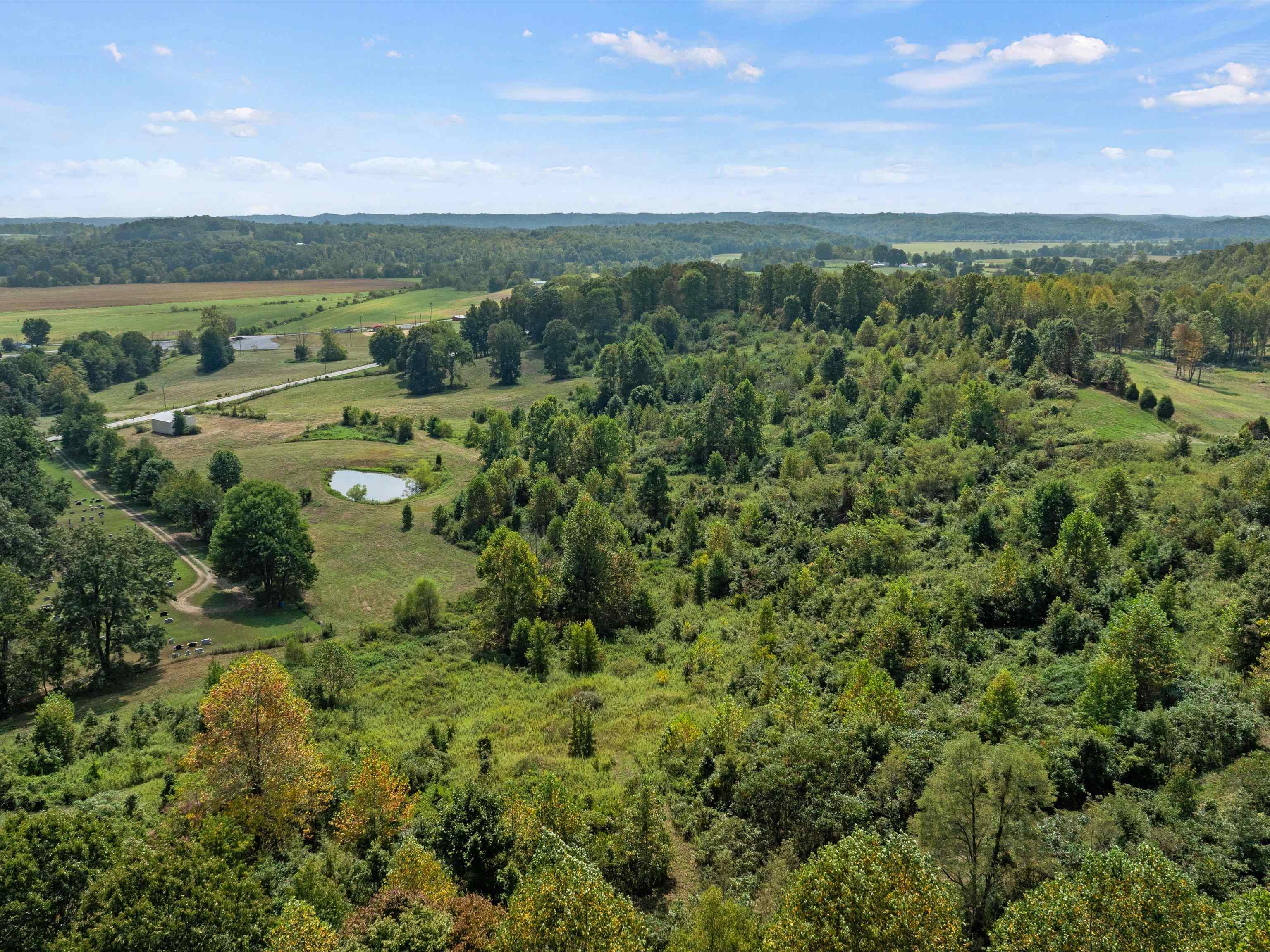 0 State Route 69 Parcel ID 41-15, Reynolds Station, Kentucky 42368, ,Land,For Sale,State Route 69 Parcel ID 41-15,90388