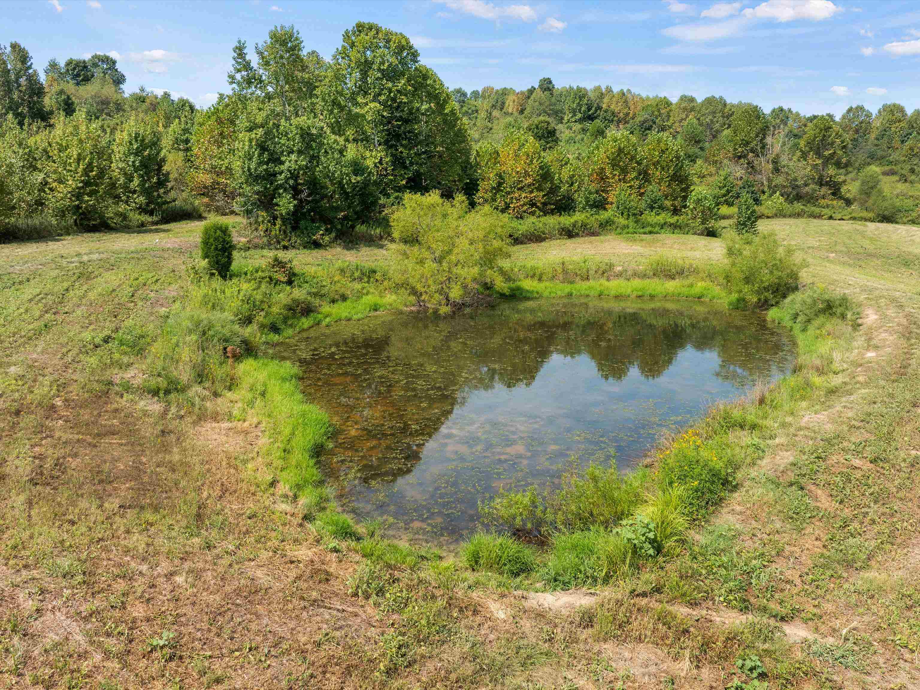0 State Route 69 Parcel ID 41-15, Reynolds Station, Kentucky 42368, ,Land,For Sale,State Route 69 Parcel ID 41-15,90388