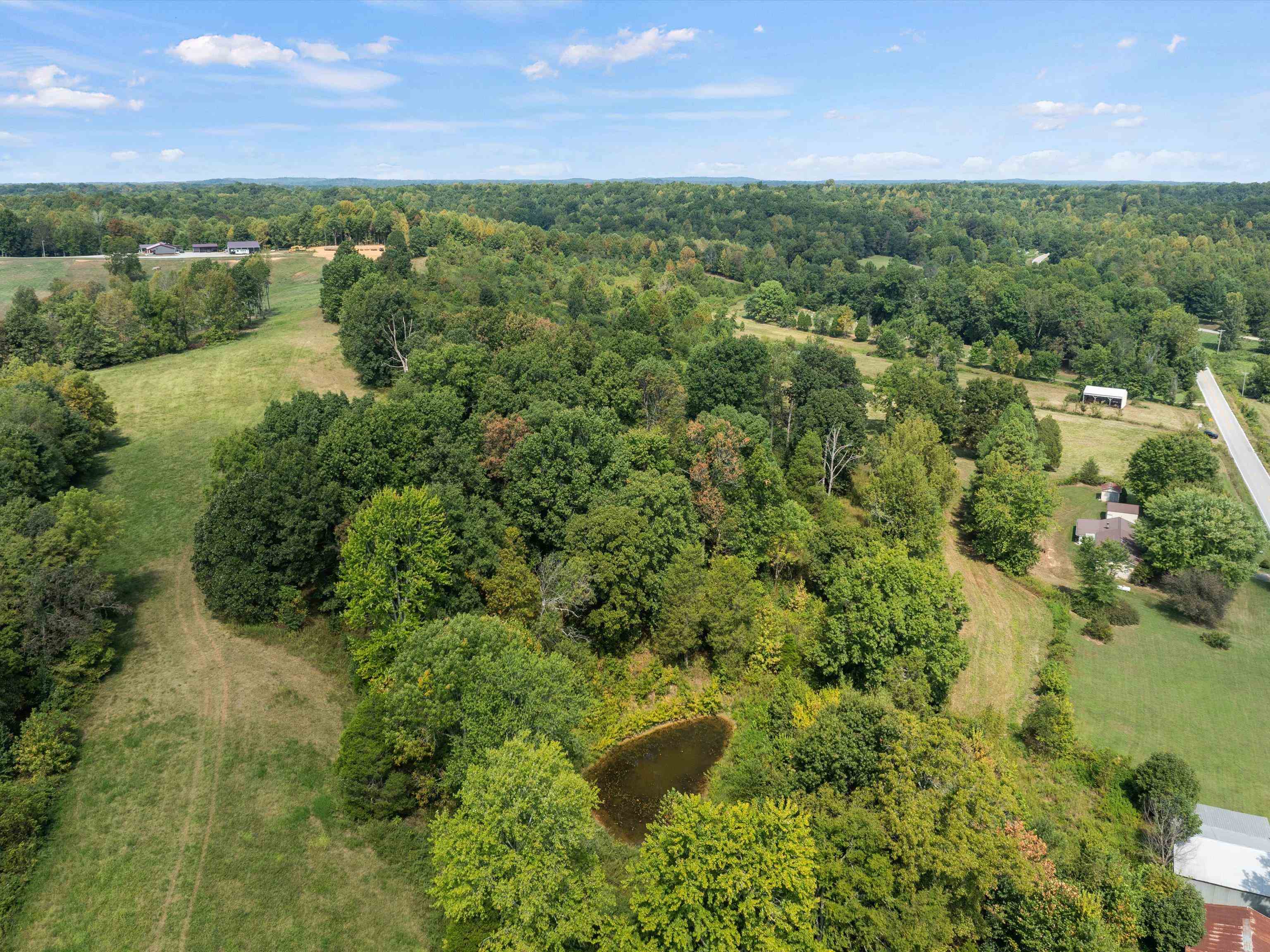0 State Route 69 Parcel ID 41-15, Reynolds Station, Kentucky 42368, ,Land,For Sale,State Route 69 Parcel ID 41-15,90388