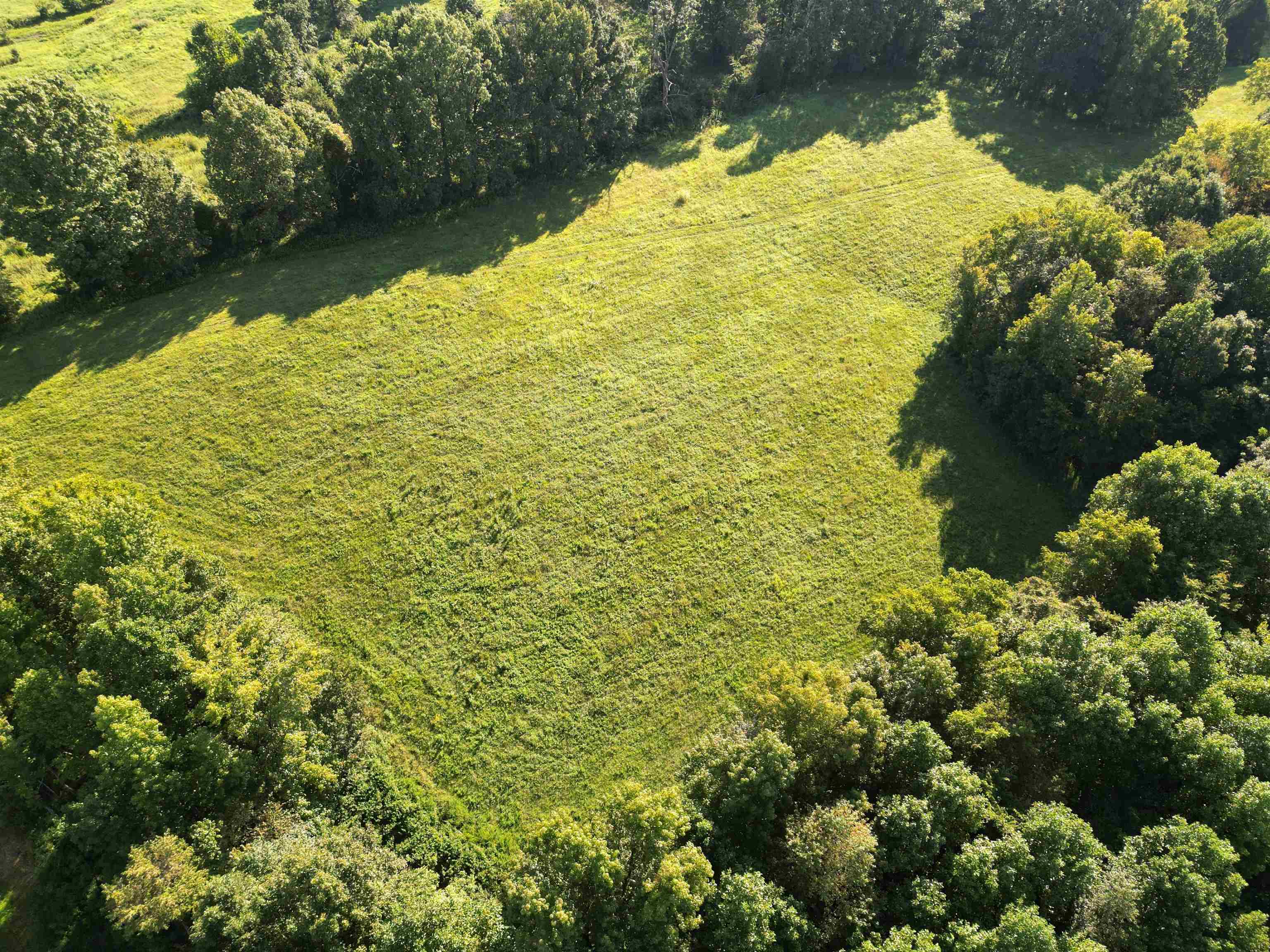 0 State Route 69 Parcel ID 41-15, Reynolds Station, Kentucky 42368, ,Land,For Sale,State Route 69 Parcel ID 41-15,90388