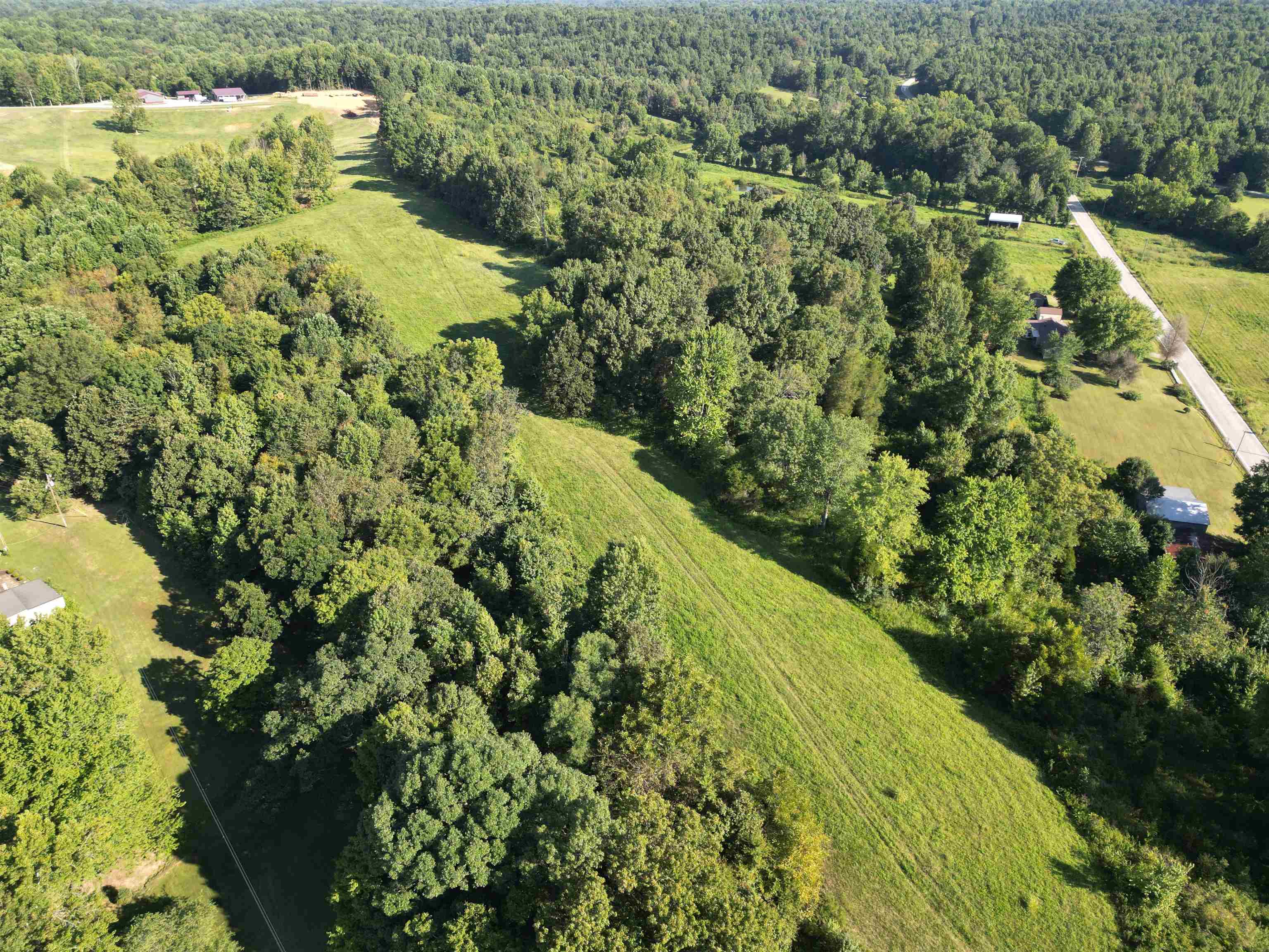 0 State Route 69 Parcel ID 41-15, Reynolds Station, Kentucky 42368, ,Land,For Sale,State Route 69 Parcel ID 41-15,90388