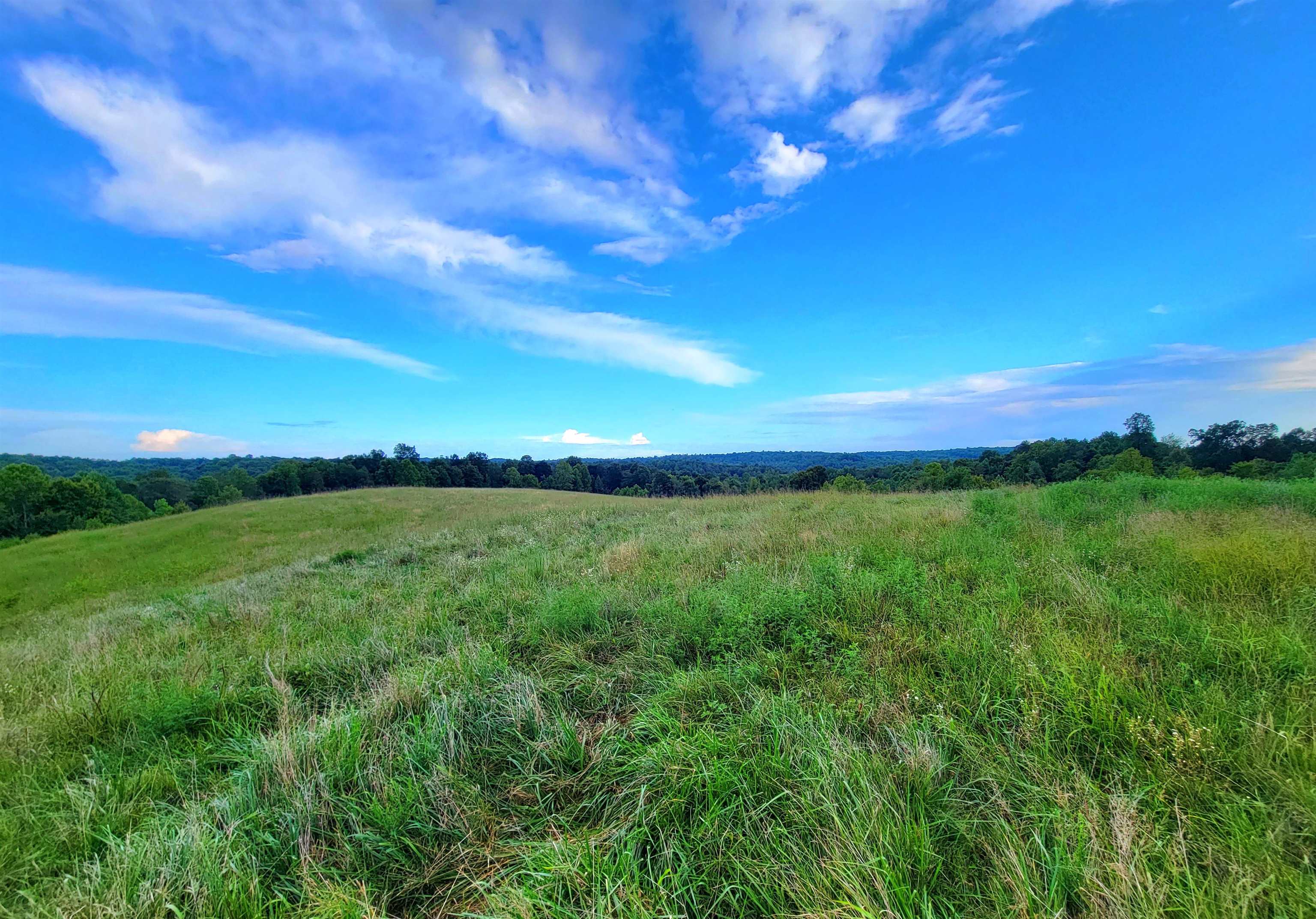 0 Sandefur Crossing, Cromwell, Kentucky 42333, ,Land,For Sale,Sandefur Crossing,90416