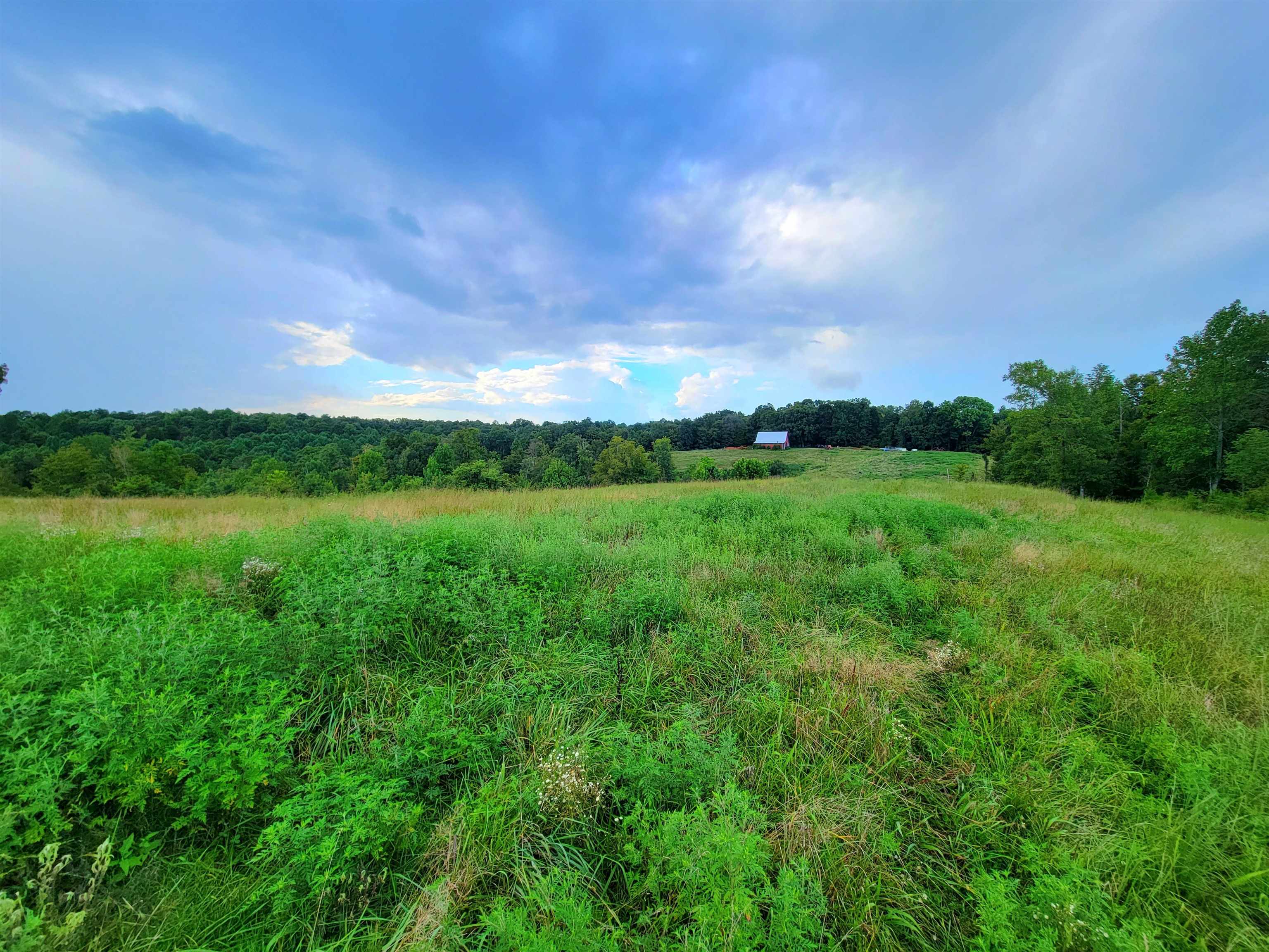 0 Sandefur Crossing, Cromwell, Kentucky 42333, ,Land,For Sale,Sandefur Crossing,90416