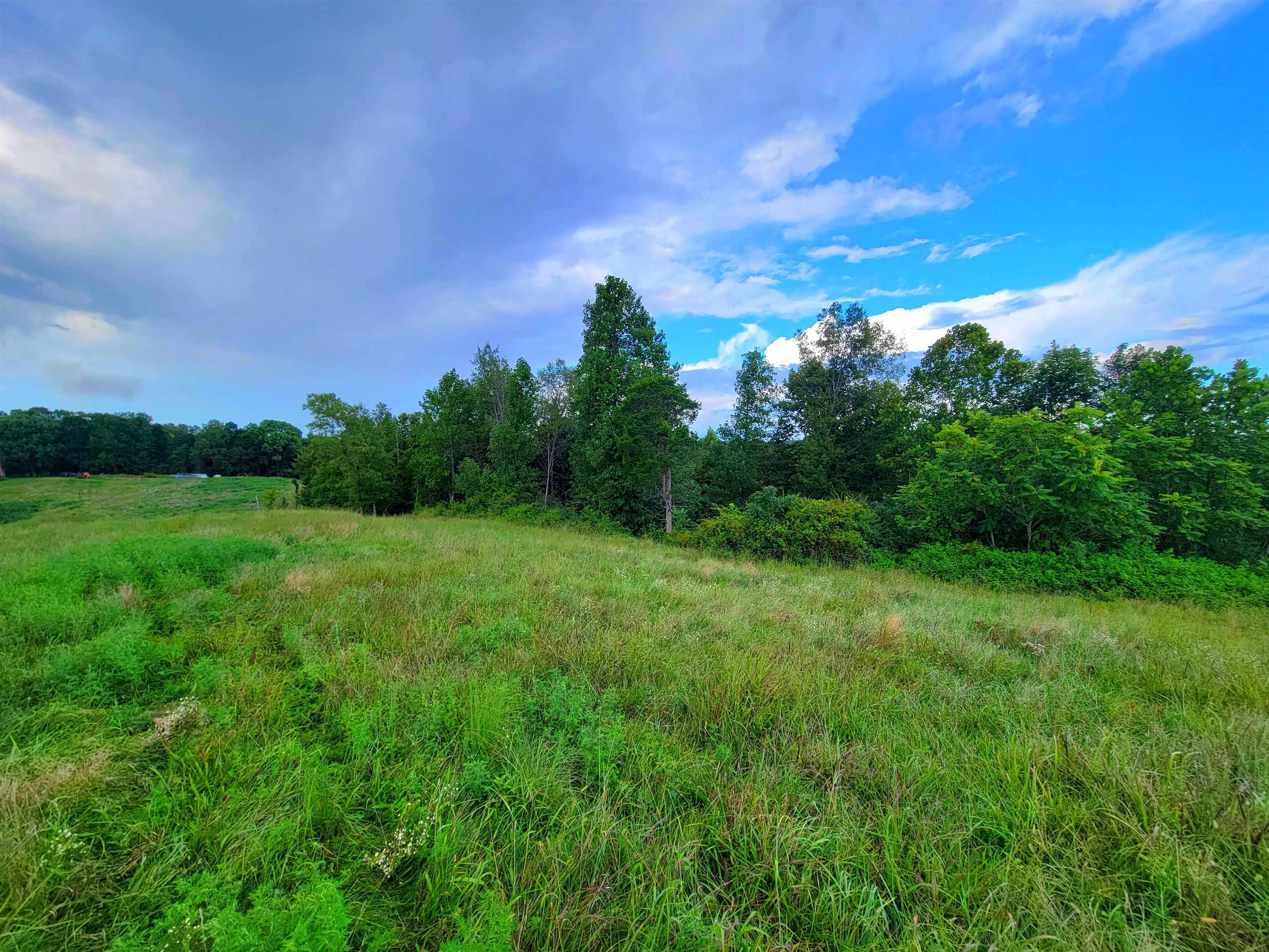 0 Sandefur Crossing, Cromwell, Kentucky 42333, ,Land,For Sale,Sandefur Crossing,90416