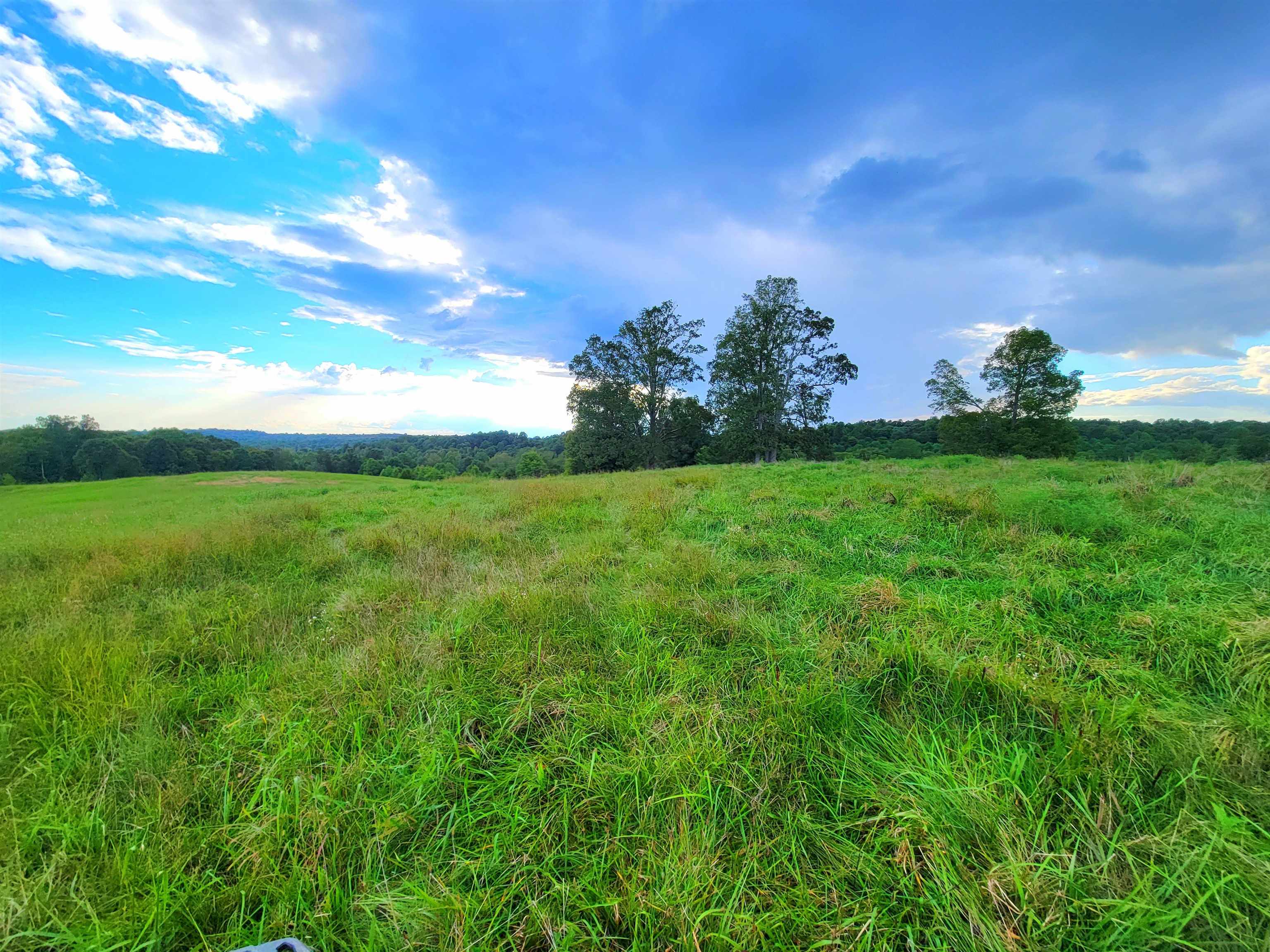 0 Sandefur Crossing, Cromwell, Kentucky 42333, ,Land,For Sale,Sandefur Crossing,90416
