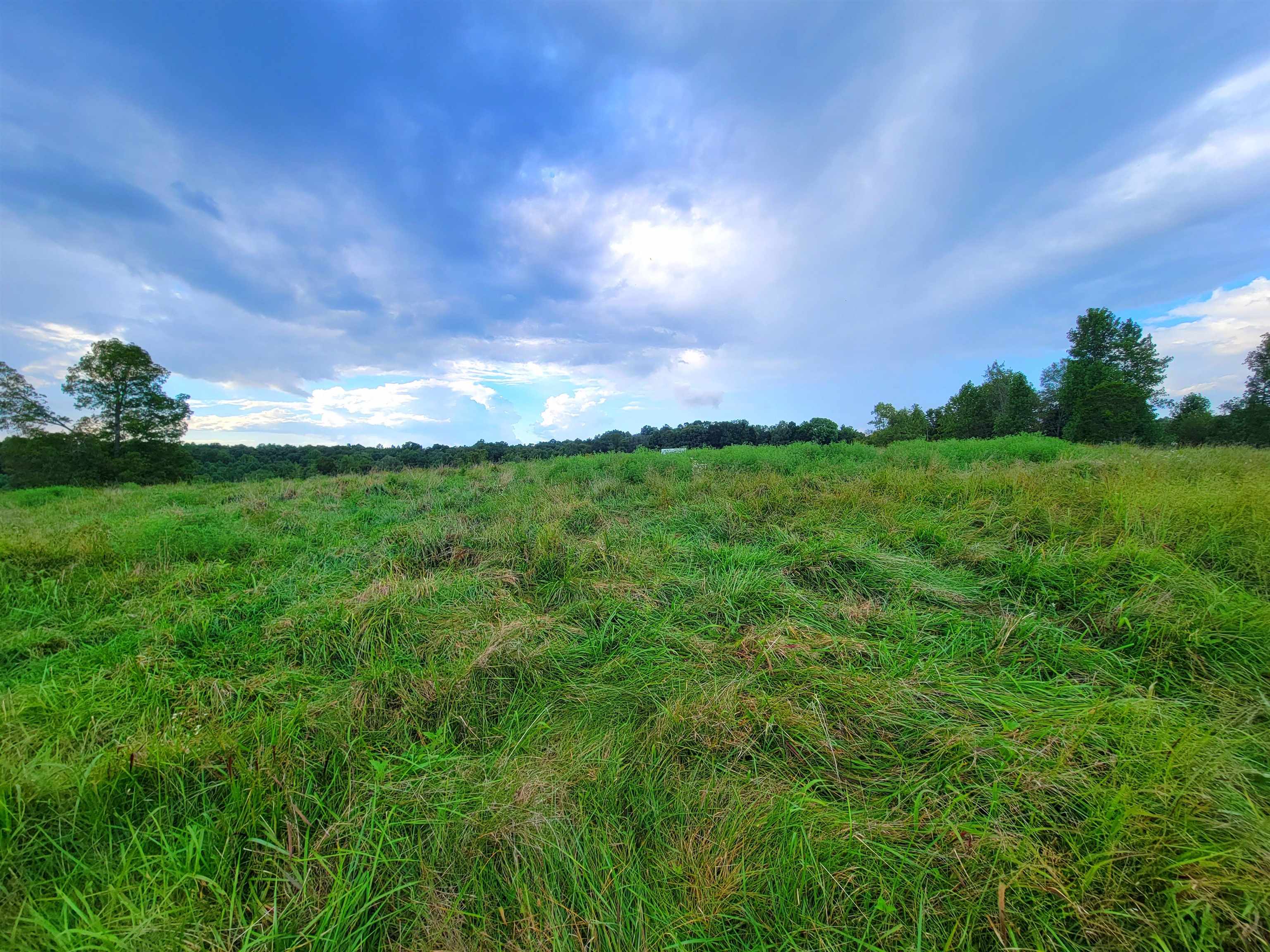 0 Sandefur Crossing, Cromwell, Kentucky 42333, ,Land,For Sale,Sandefur Crossing,90416