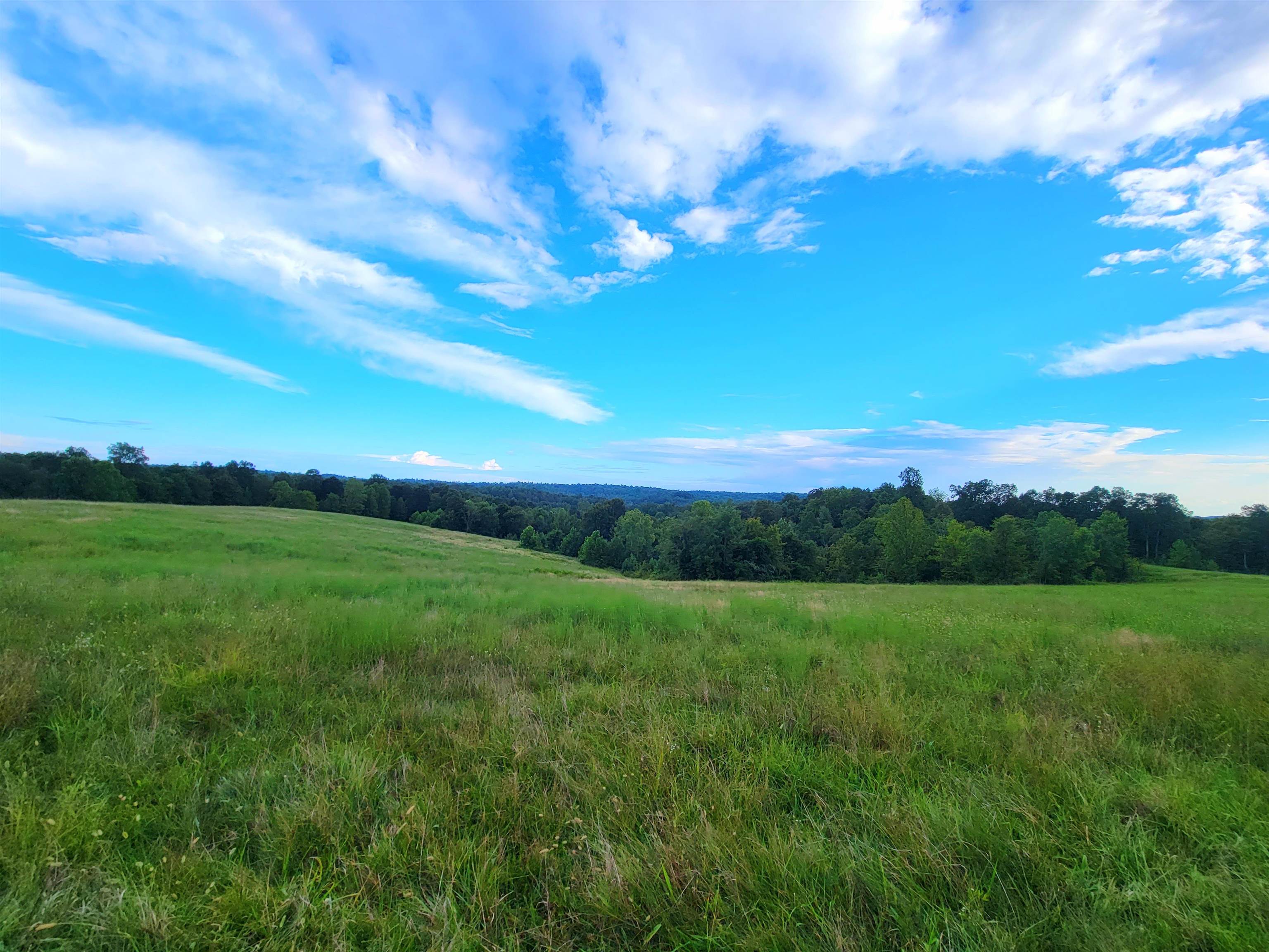 0 Sandefur Crossing, Cromwell, Kentucky 42333, ,Land,For Sale,Sandefur Crossing,90416