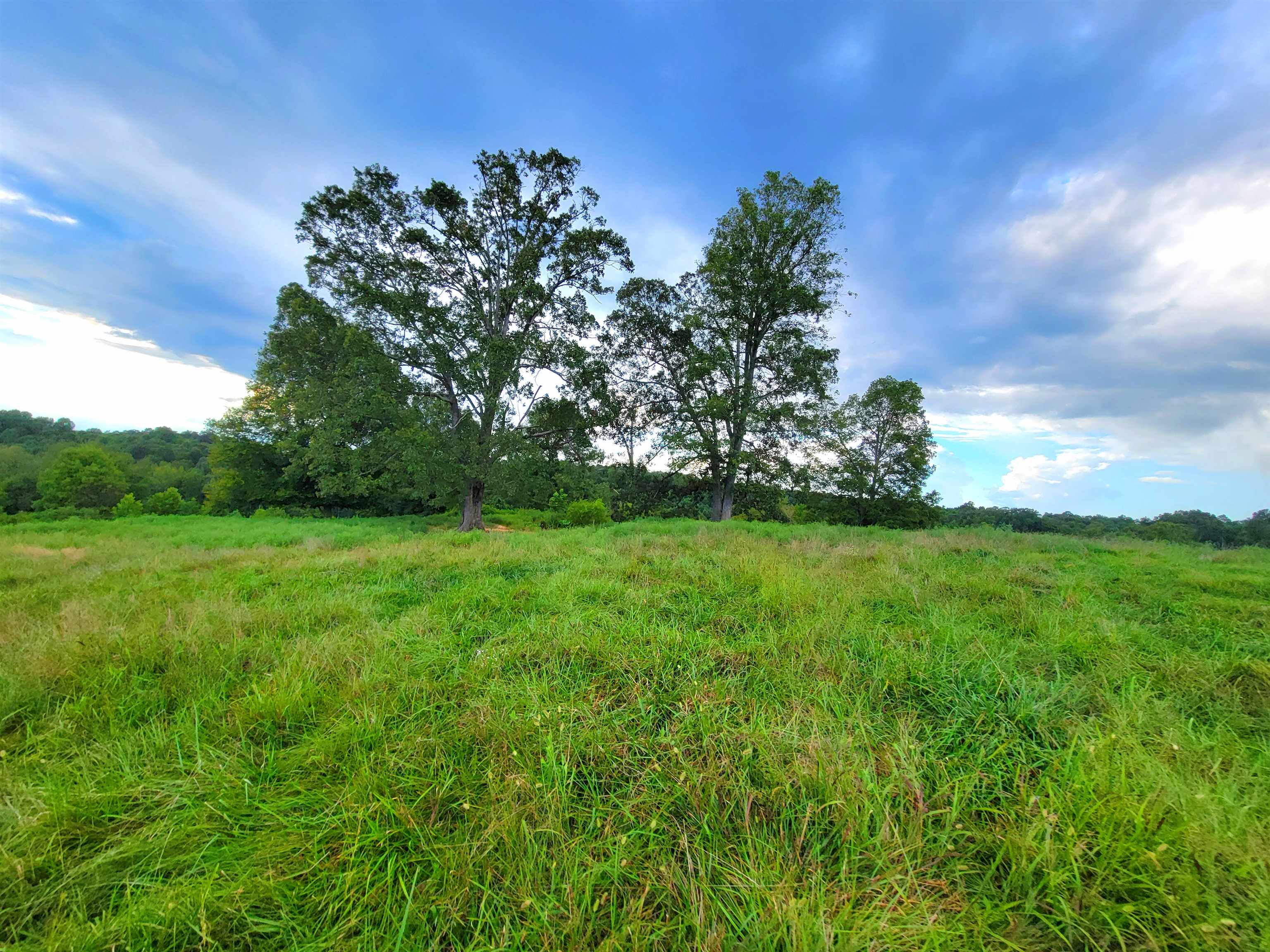 0 Sandefur Crossing, Cromwell, Kentucky 42333, ,Land,For Sale,Sandefur Crossing,90416