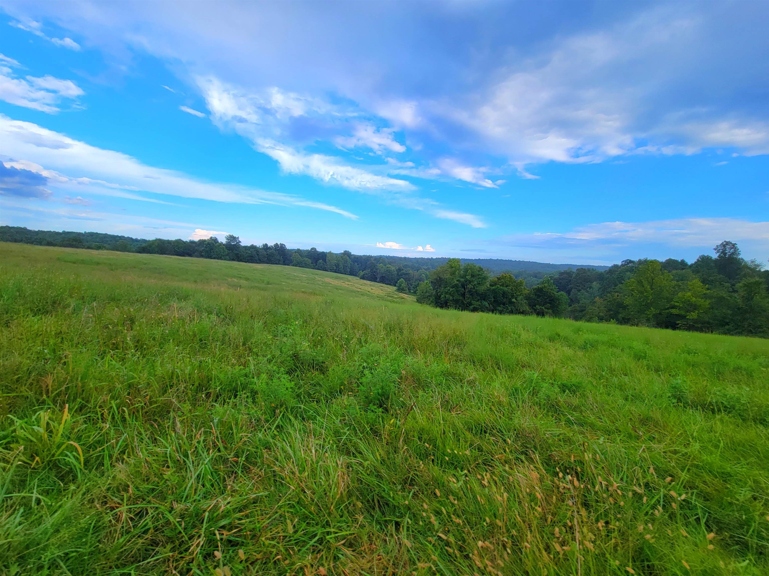 0 Sandefur Crossing, Cromwell, Kentucky 42333, ,Land,For Sale,Sandefur Crossing,90416