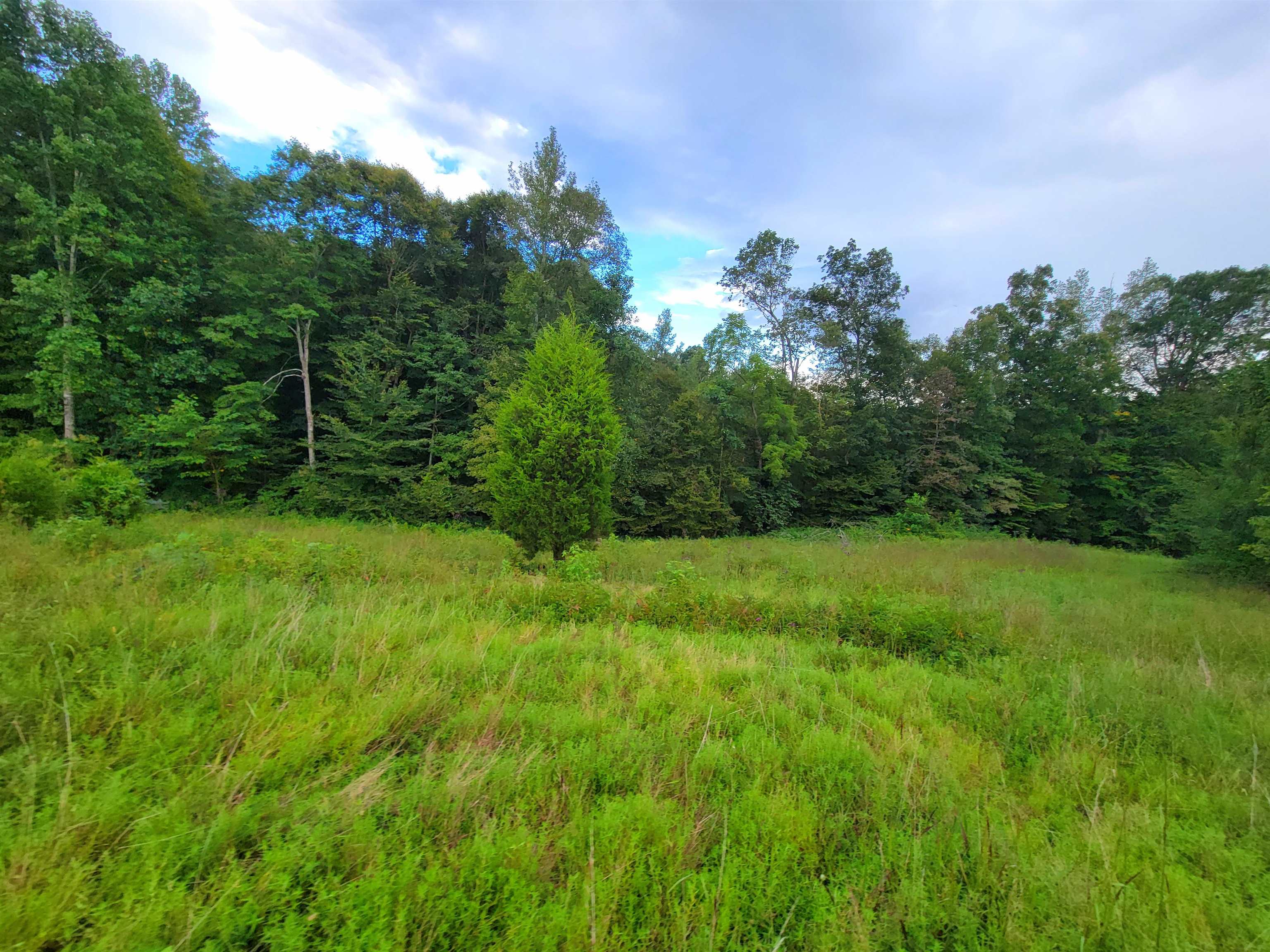 0 Sandefur Crossing, Cromwell, Kentucky 42333, ,Land,For Sale,Sandefur Crossing,90416