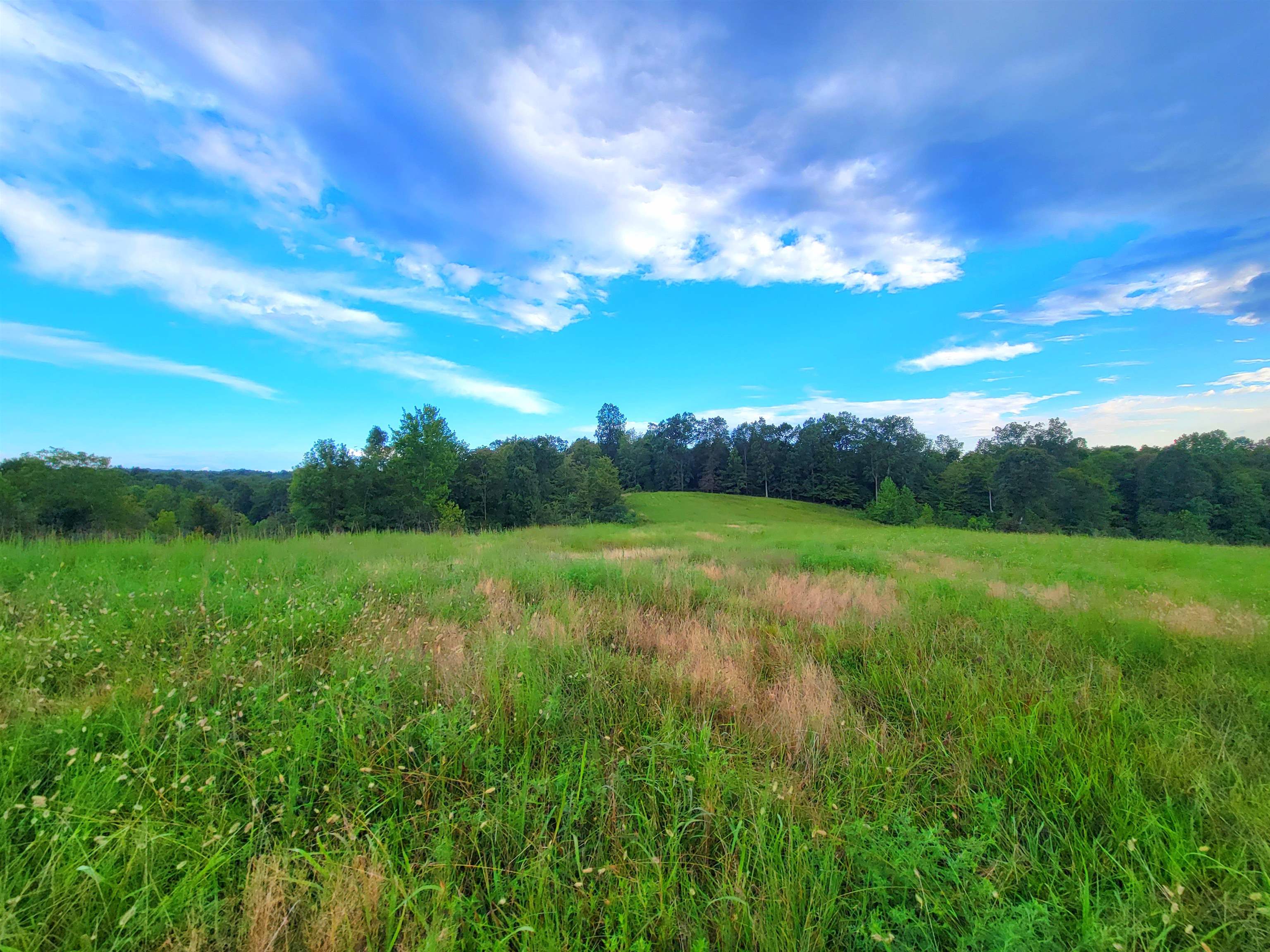 0 Sandefur Crossing, Cromwell, Kentucky 42333, ,Land,For Sale,Sandefur Crossing,90416