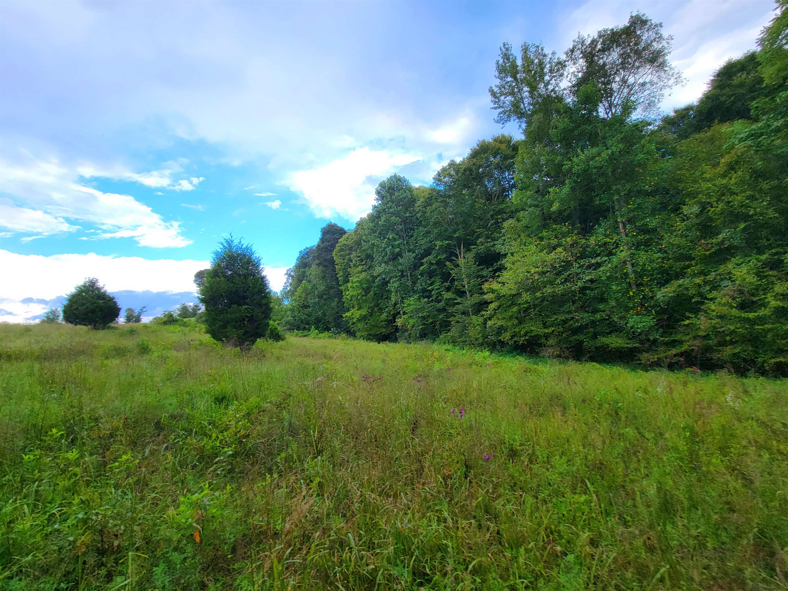 0 Sandefur Crossing, Cromwell, Kentucky 42333, ,Land,For Sale,Sandefur Crossing,90416