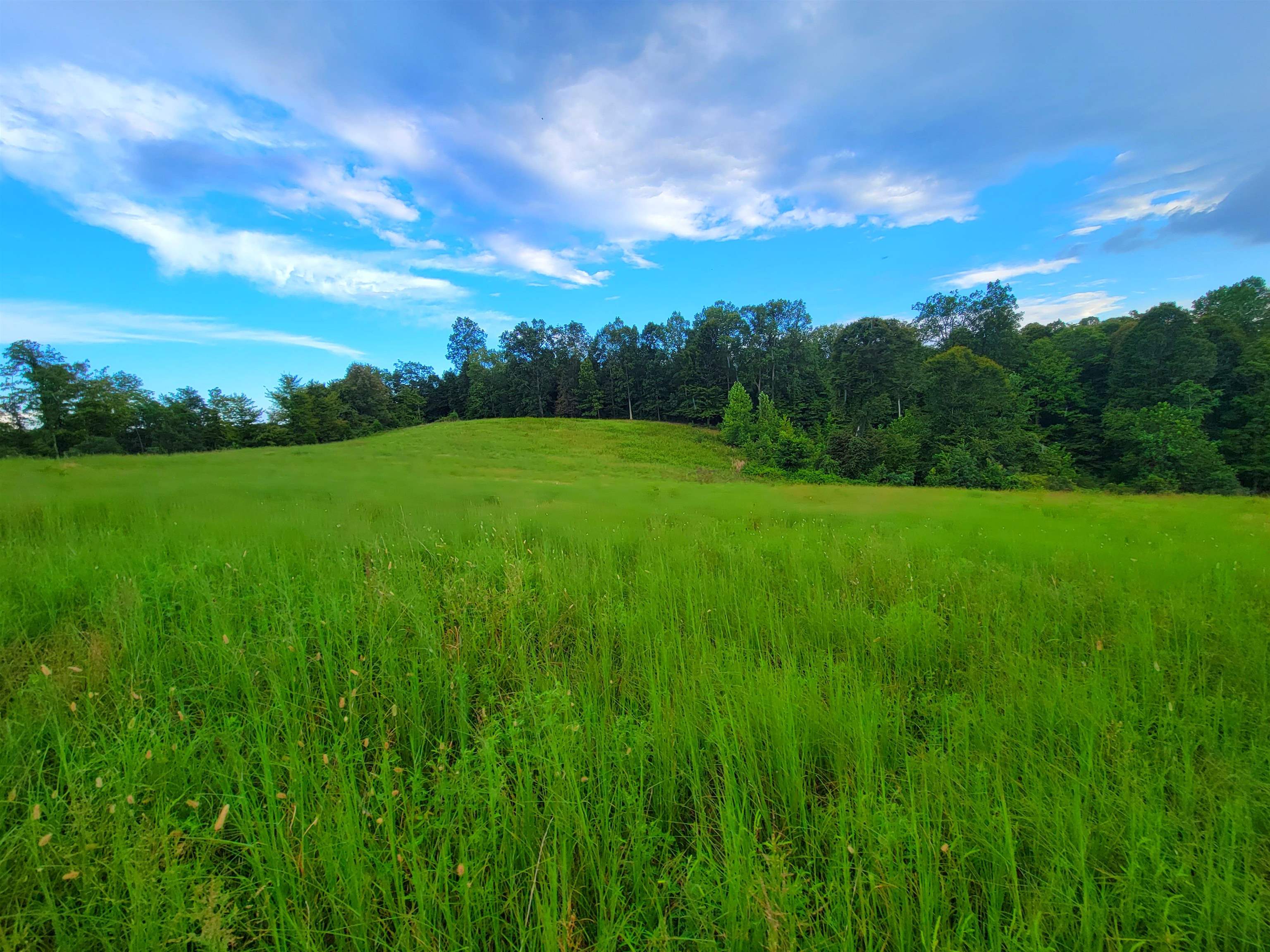 0 Sandefur Crossing, Cromwell, Kentucky 42333, ,Land,For Sale,Sandefur Crossing,90416