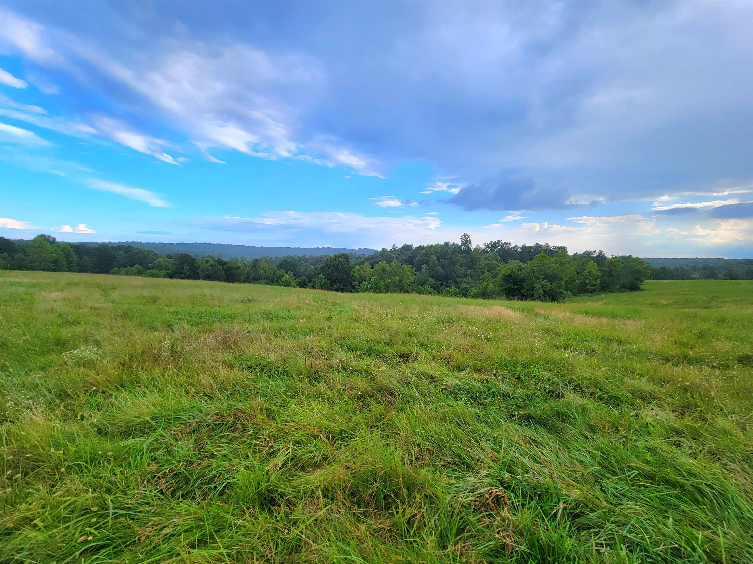 0 Sandefur Crossing, Cromwell, Kentucky 42333, ,Land,For Sale,Sandefur Crossing,90416