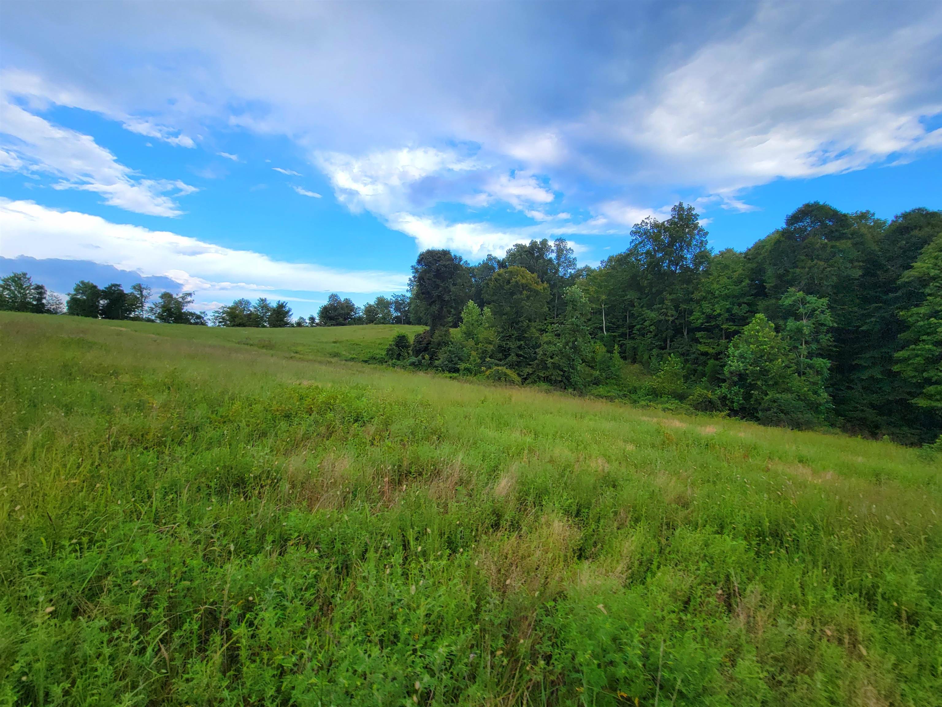 0 Sandefur Crossing, Cromwell, Kentucky 42333, ,Land,For Sale,Sandefur Crossing,90416